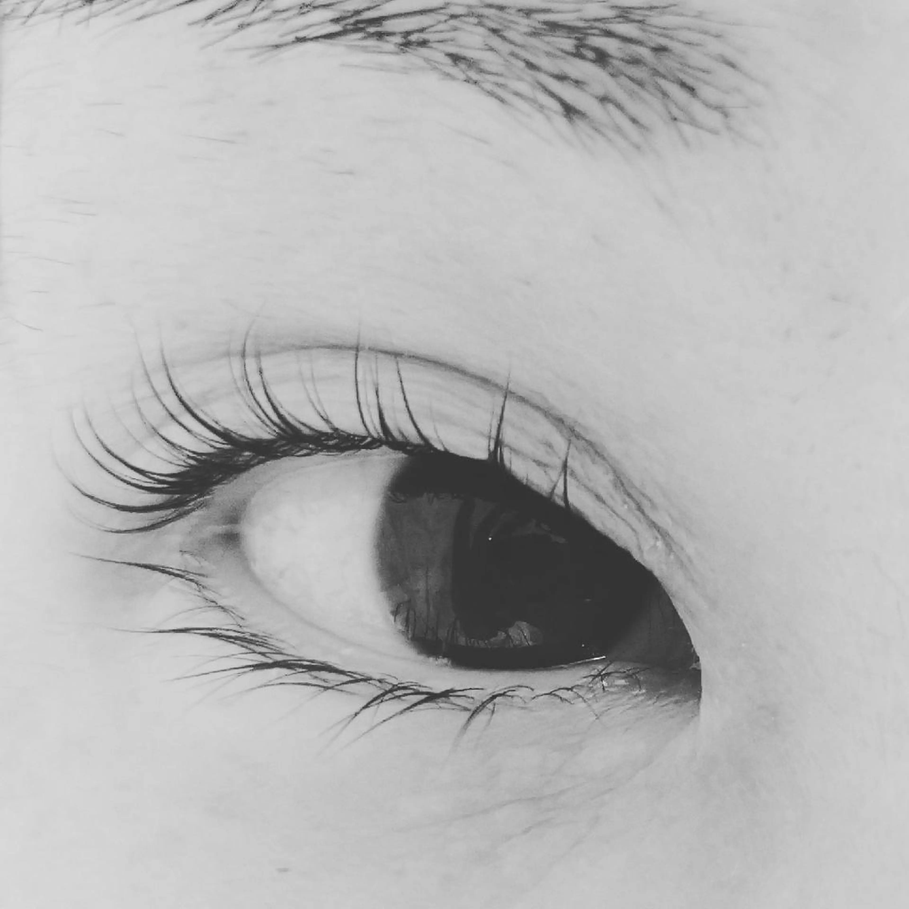 次世代ラッシュリフトの写真