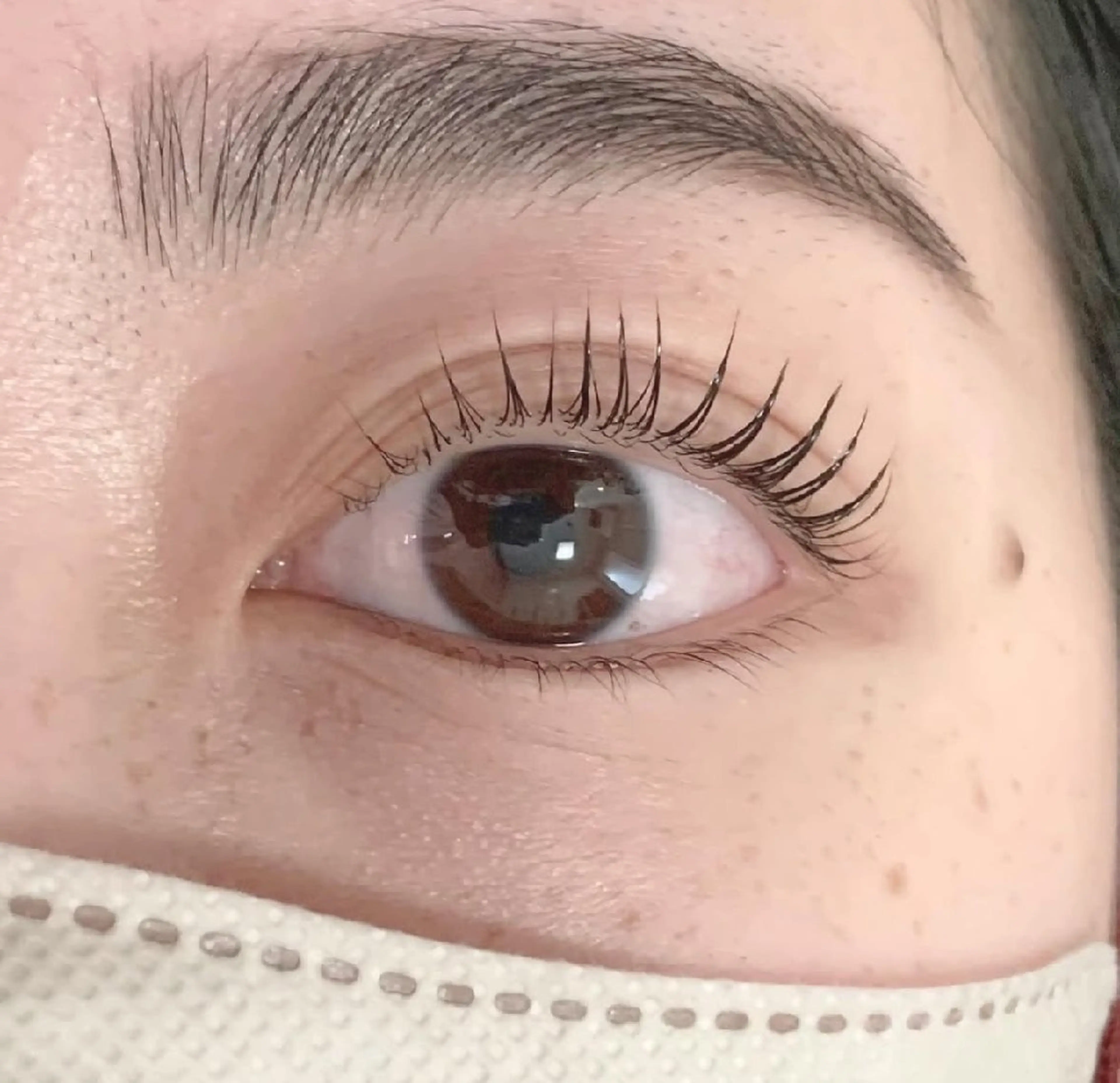 マツ毛パーマ(必ず備考欄も、お読み下さい)の写真