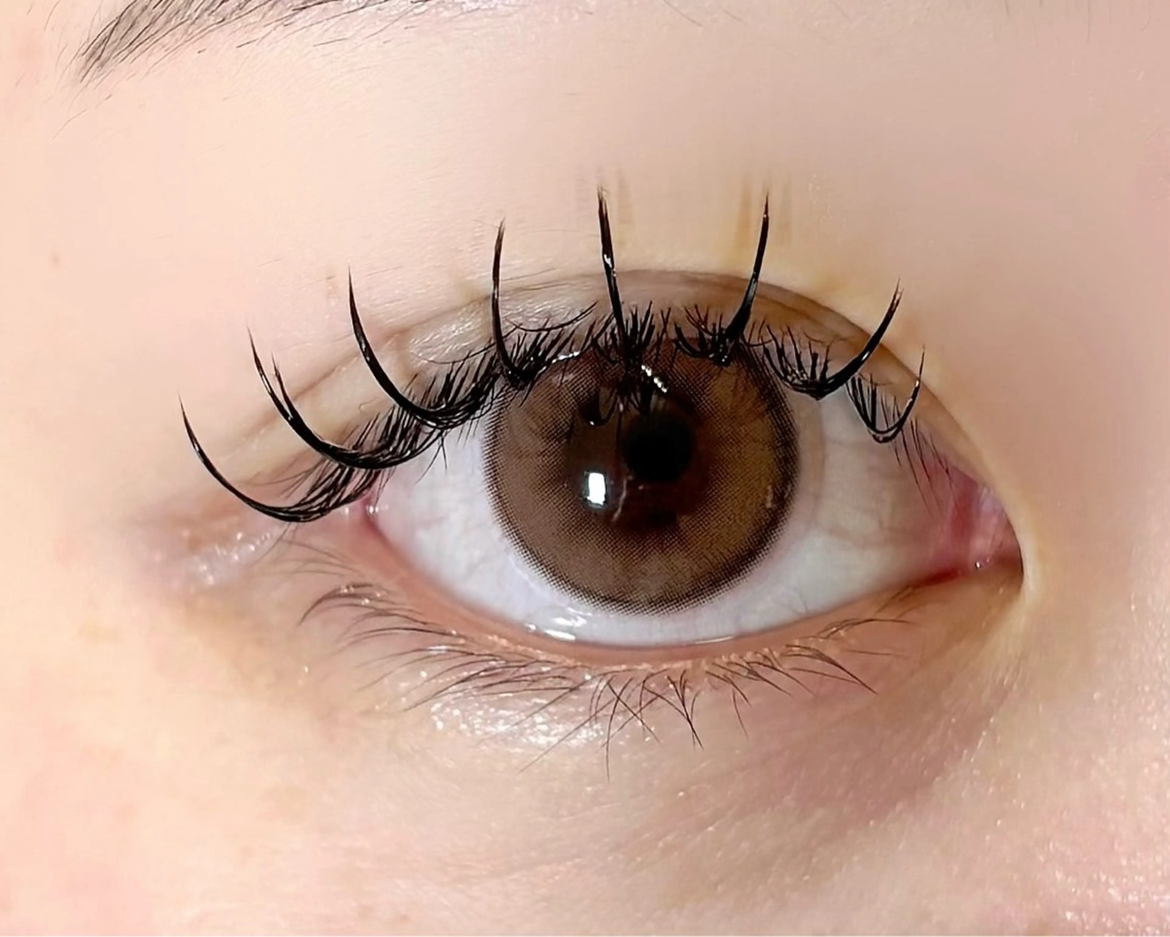 マツエク・マツパ フラットラッシュ emelu 山本の眉毛・アイブロウイメージ