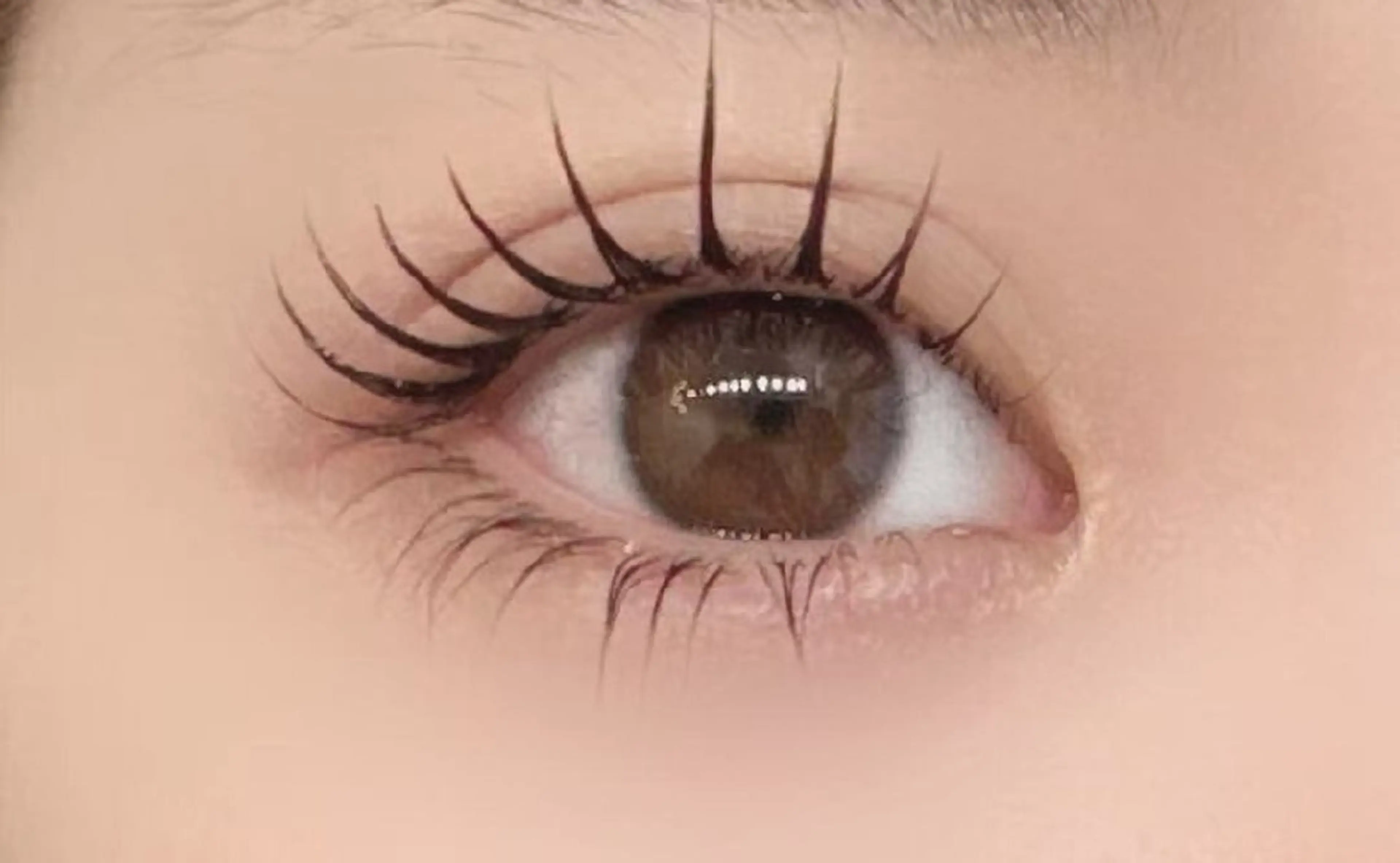 🇰🇷韓国発ブラックティント🇰🇷選べるカール(上下)マスカラパーマ　🎈美容液➕コーティング剤付き🎈の写真