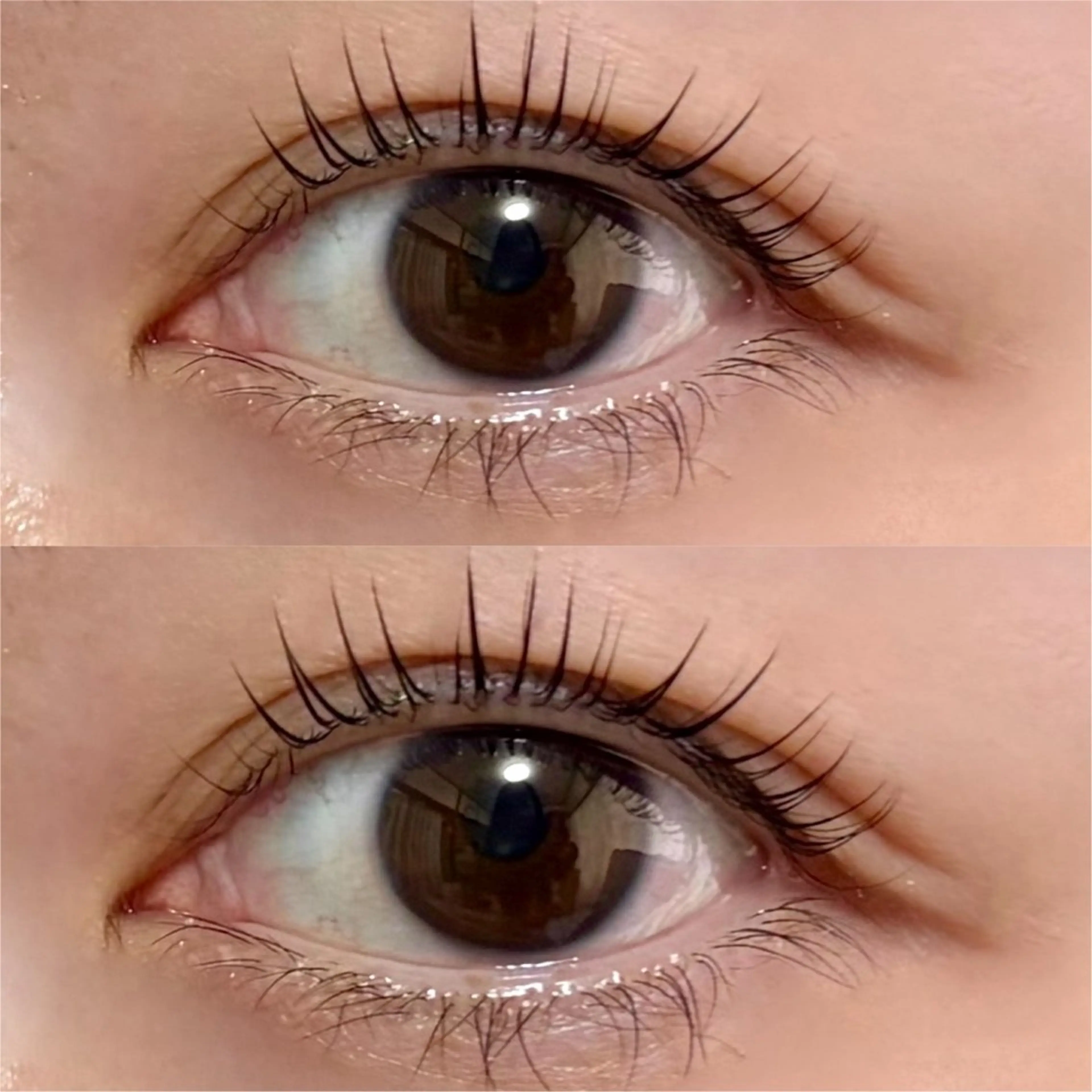 マツエク・マツパ 一重×まつ毛パーマ マツパ Lash A 🕊️のマツエク・マツパデザイン