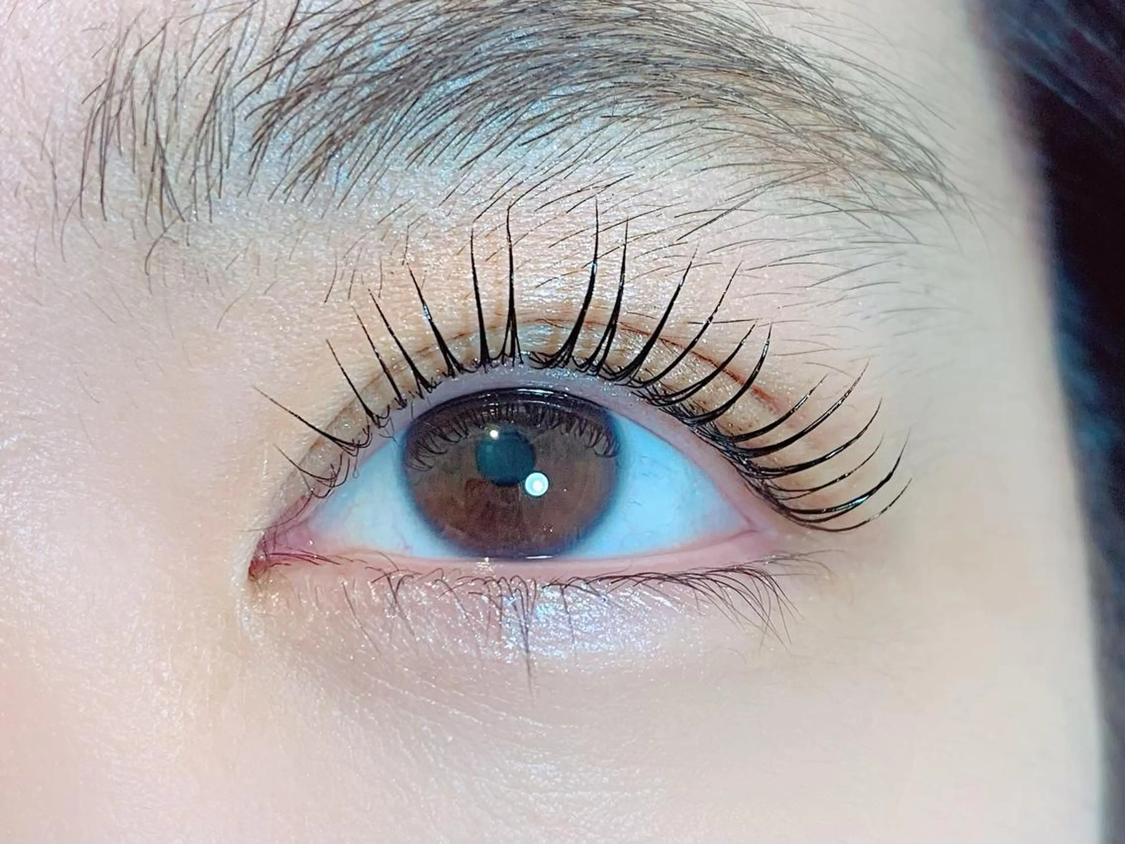 マツエク・マツパ マツパ teatree.. REINAのマツエク・マツパデザイン