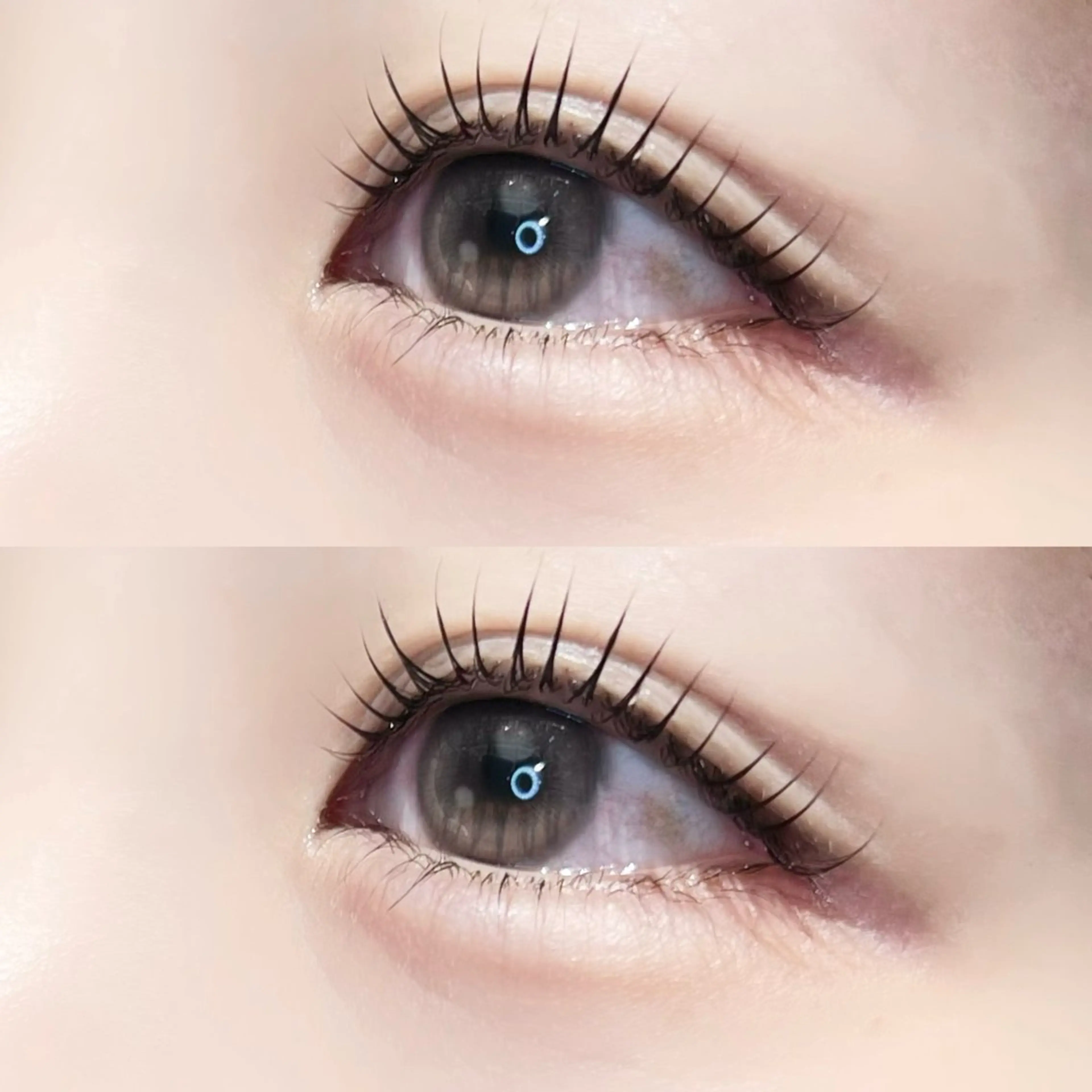 ラッシュリフト(上)🧸美容液仕上げ込の写真