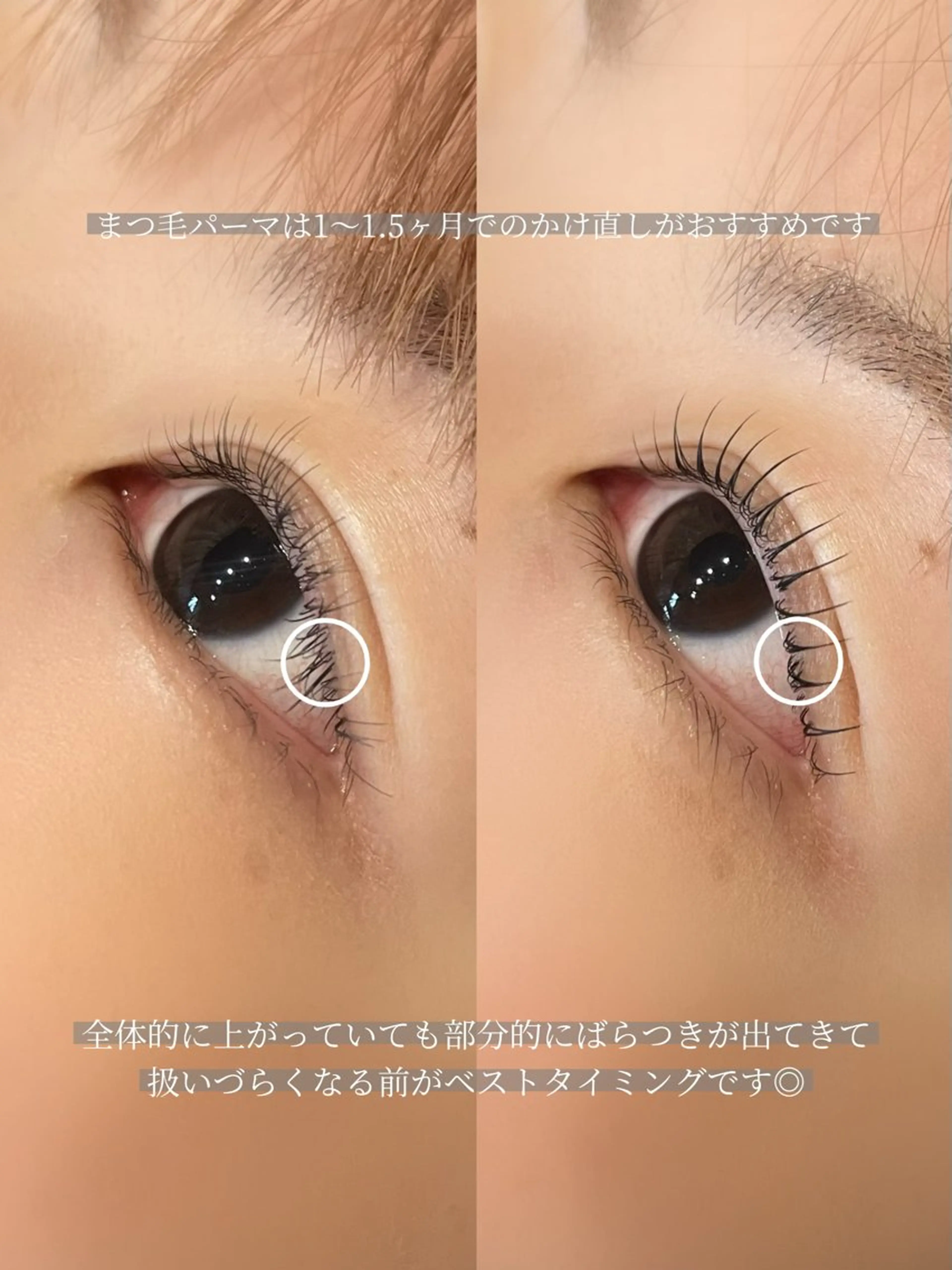 マツエク・マツパ 一重×まつ毛パーマ 眉毛/まつ毛/代官山 アイサロン🌻NAEのマツエク・マツパデザイン