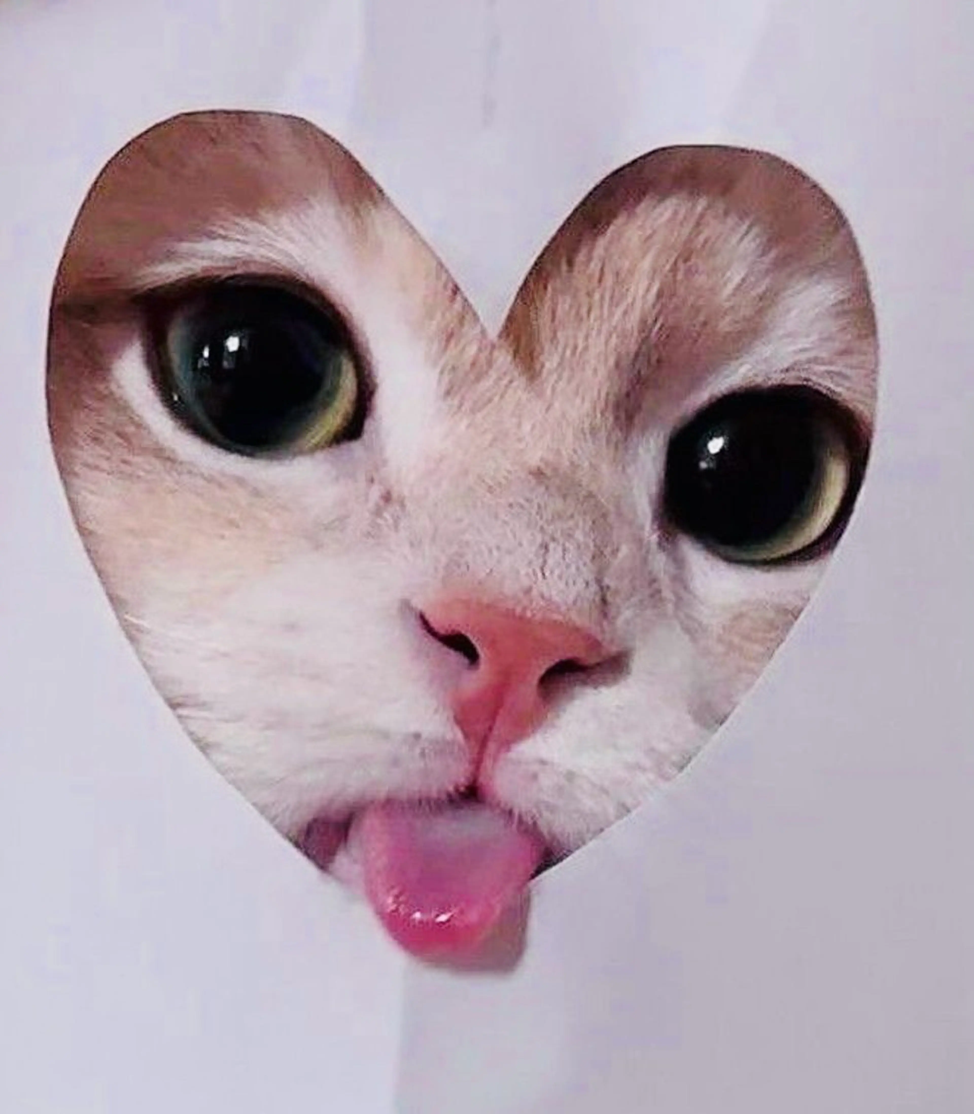 マツエク・マツパ 🎀eyelist. mizuki🐈‍⬛の眉毛・アイブロウイメージ