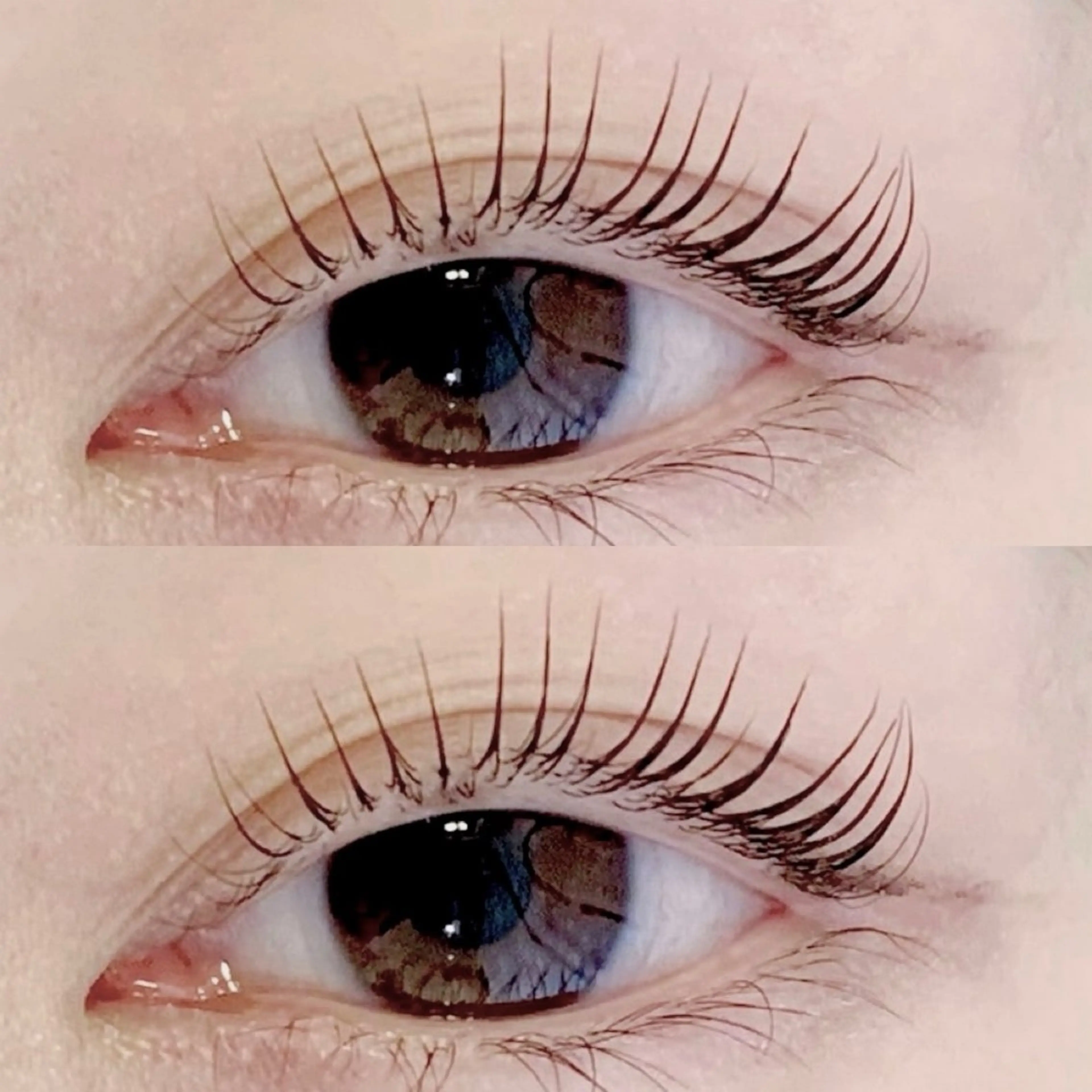 マツエク・マツパ M🐰 上本町/谷九のマツエク・マツパデザイン