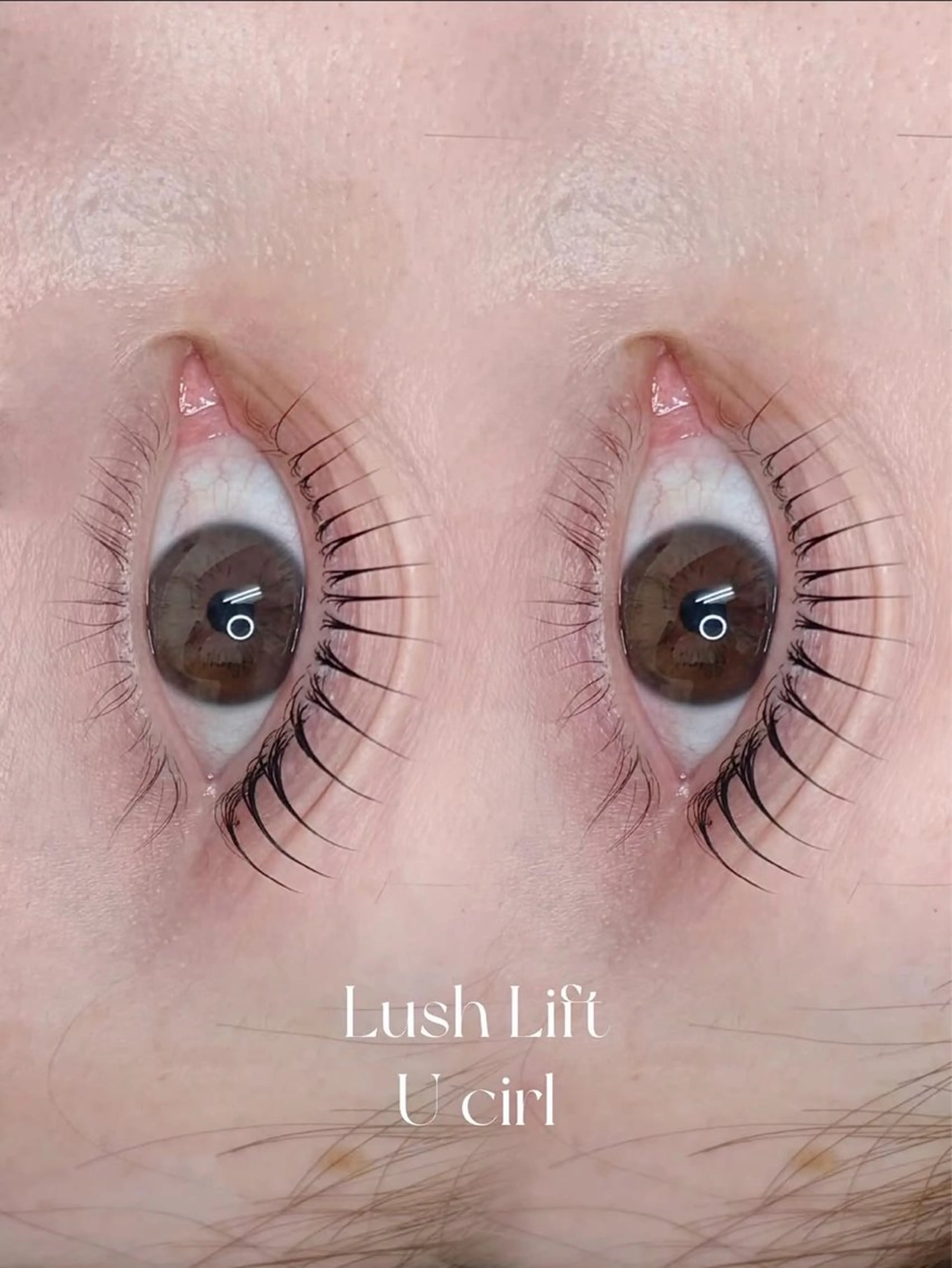 【ミニモ限定アイシャンプー無料🫧】束感コーティング付き💡上下パーマ🪞 【ポイント利用不可】の写真