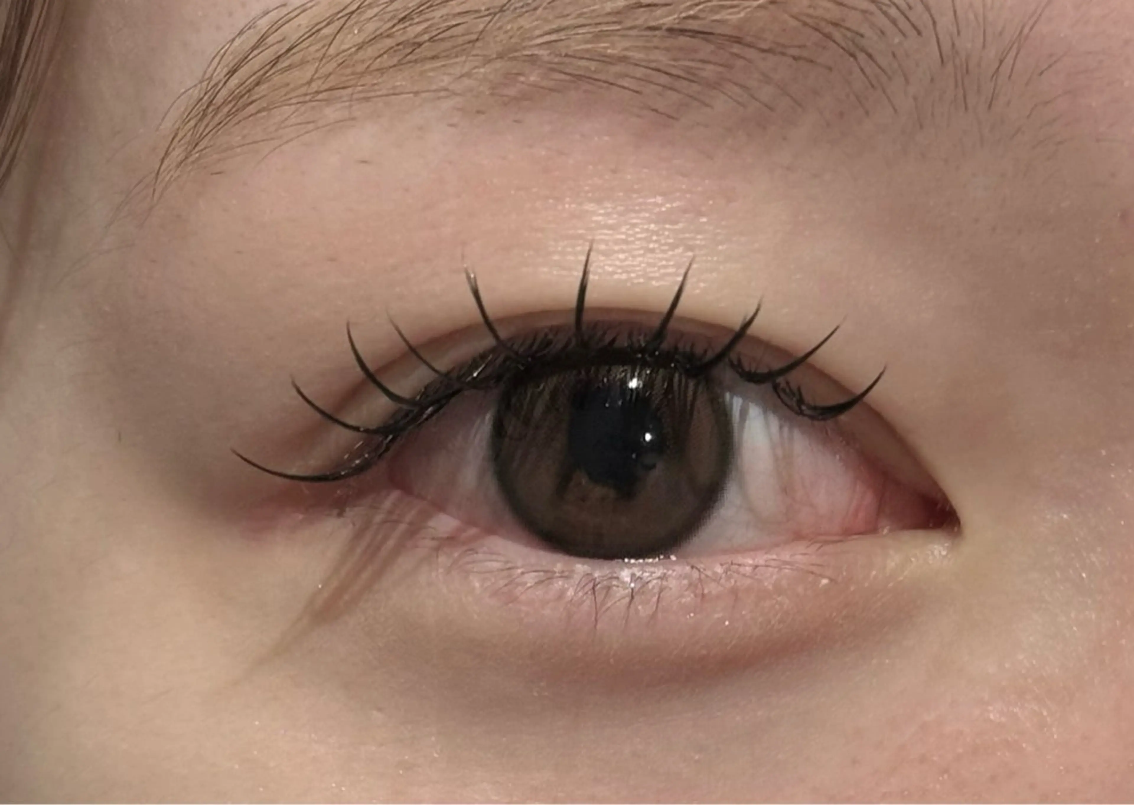 Wフラットラッシュ80束🌟の写真