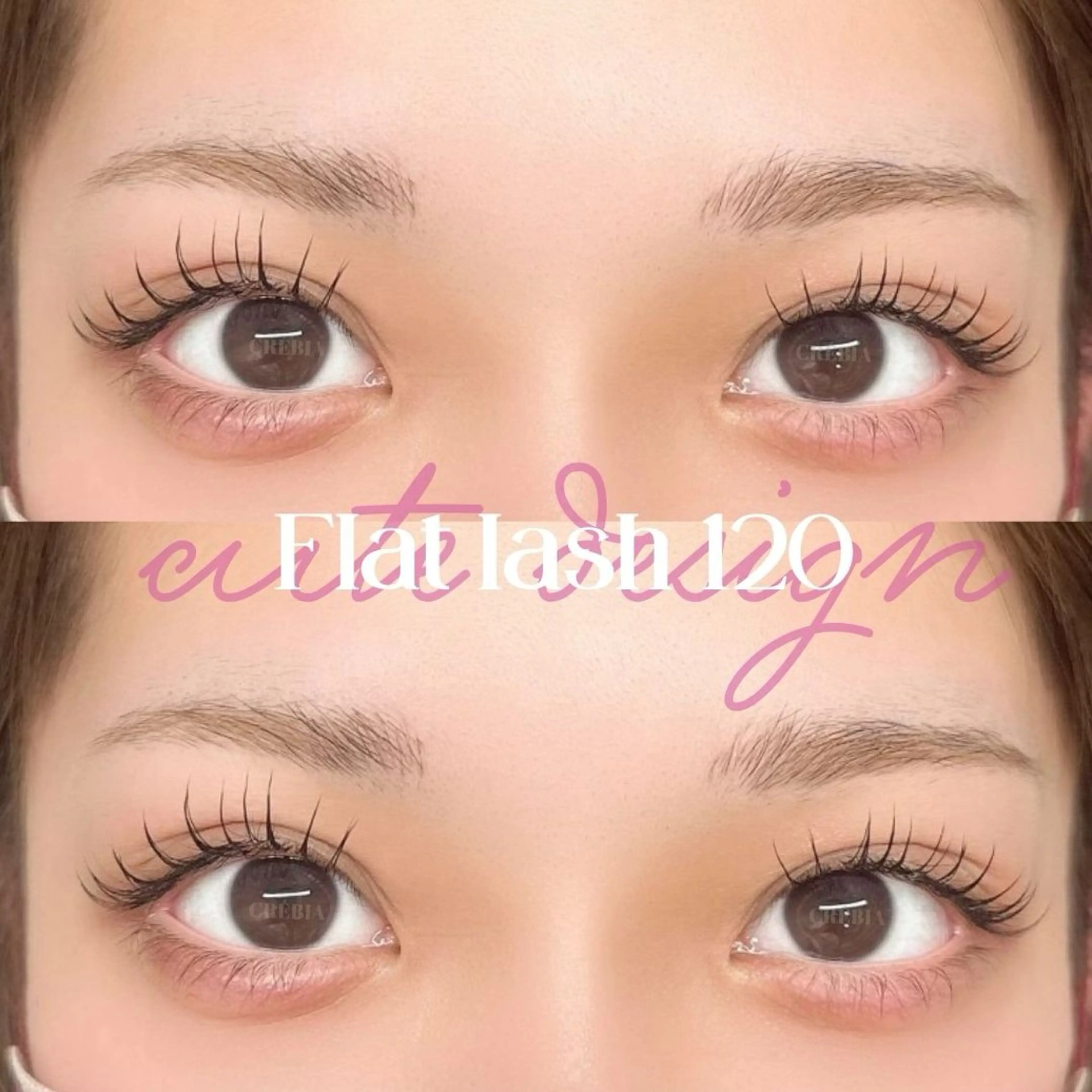 マツエク・マツパ フラットラッシュ 韓国風マツエク マツエク mai〻 パリジェンヌ/眉毛のマツエク・マツパデザイン