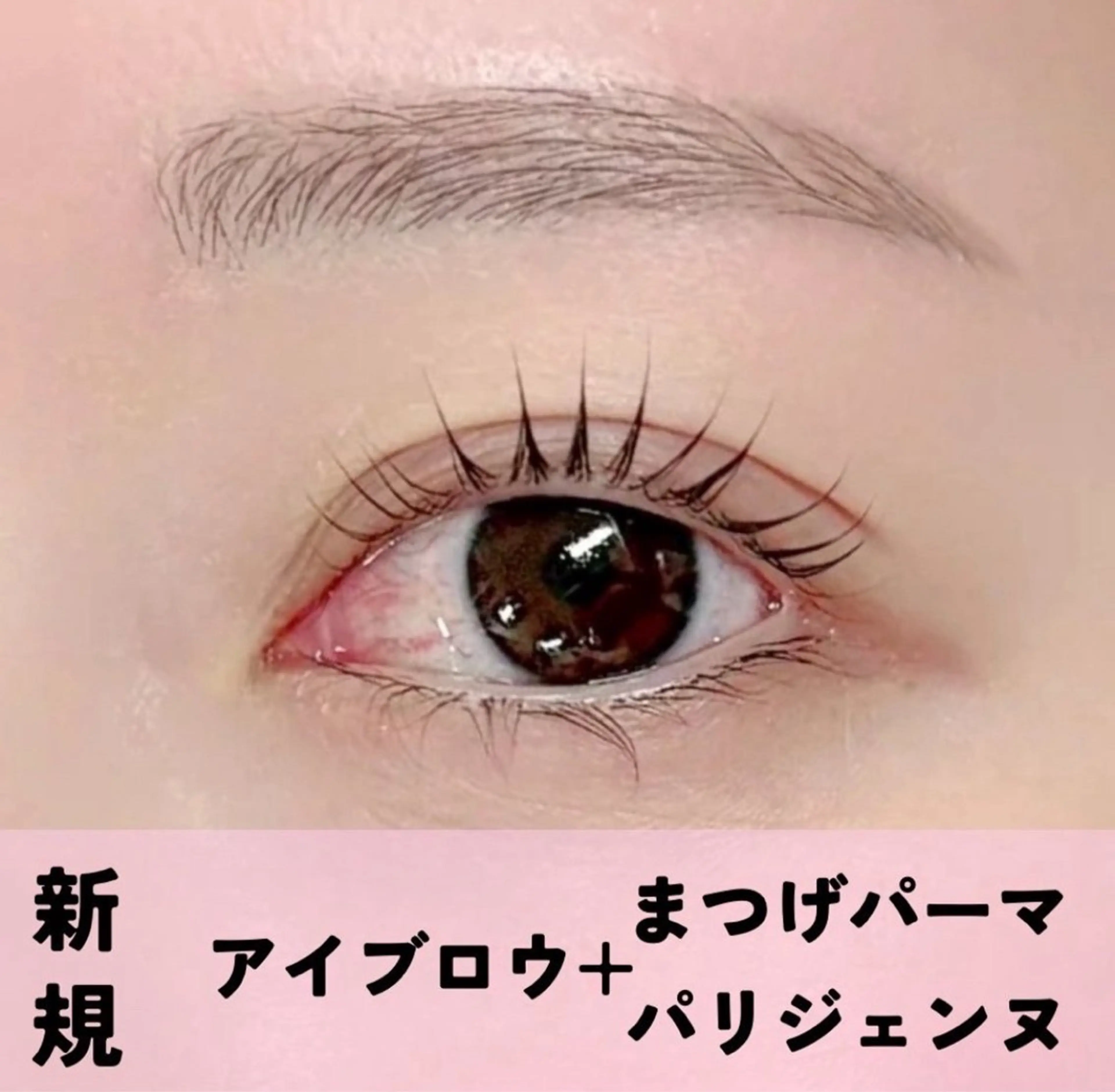 マツエク・マツパ マツパ Yura/ LED/エクステのマツエク・マツパデザイン