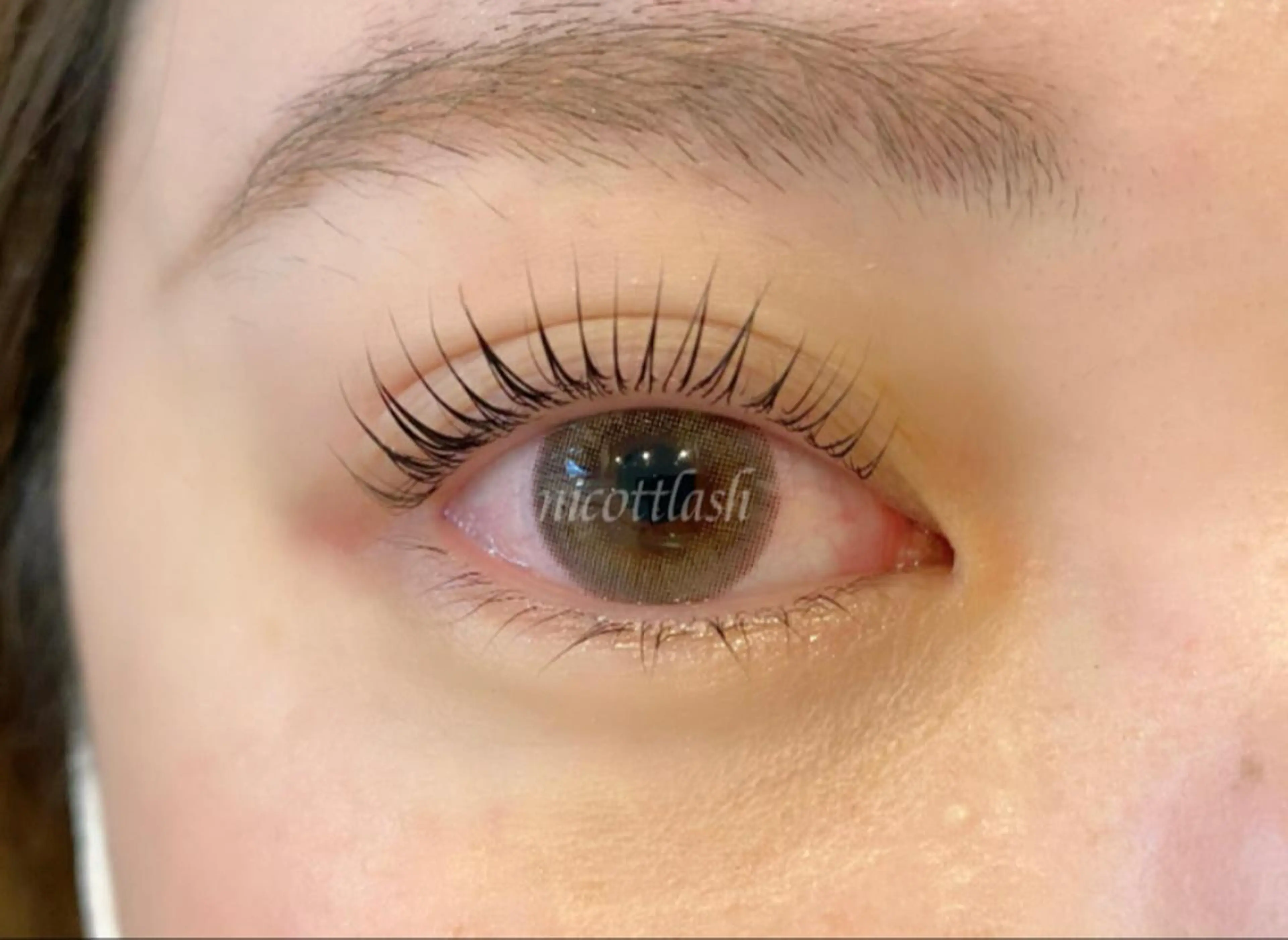 マツエク・マツパ パリジェンヌラッシュリフト デイジーラッシュ 天王寺　南のマツエク・マツパデザイン