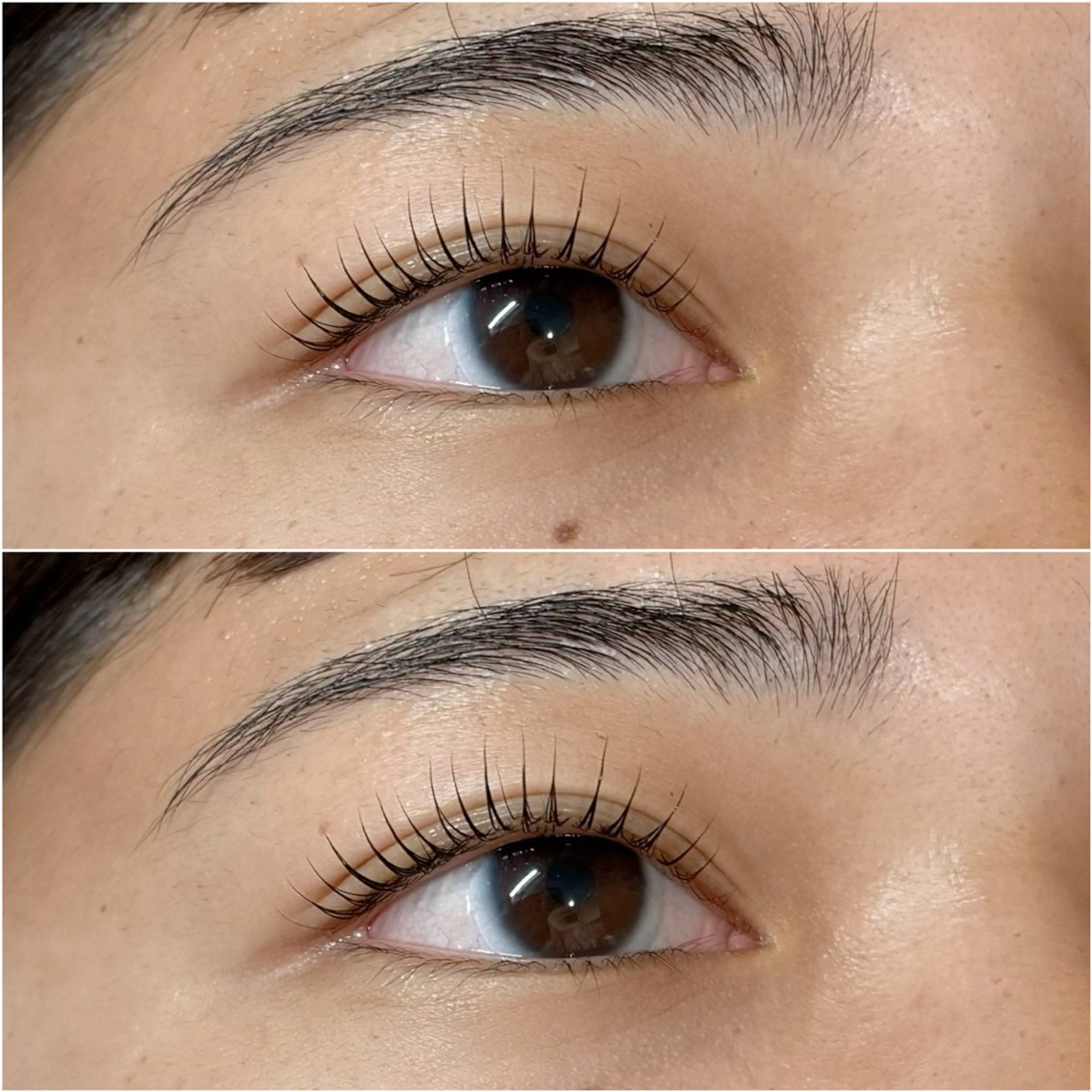 マツエク・マツパ 𝐀𝐲𝐚𝐦𝐞 🤎の眉毛・アイブロウイメージ