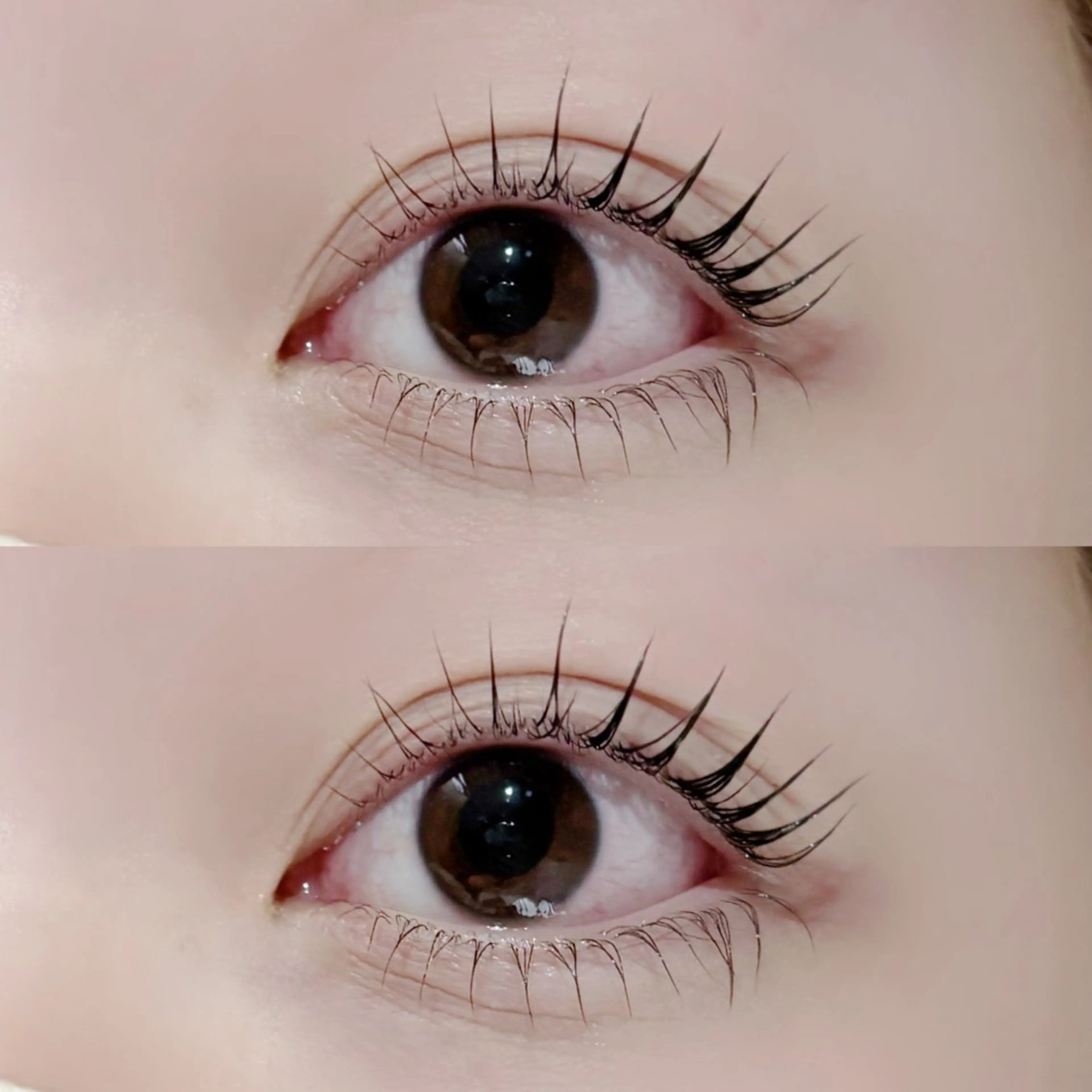 マツエク・マツパ パリジェンヌラッシュリフト マツパ re; みおのヘアスタイル