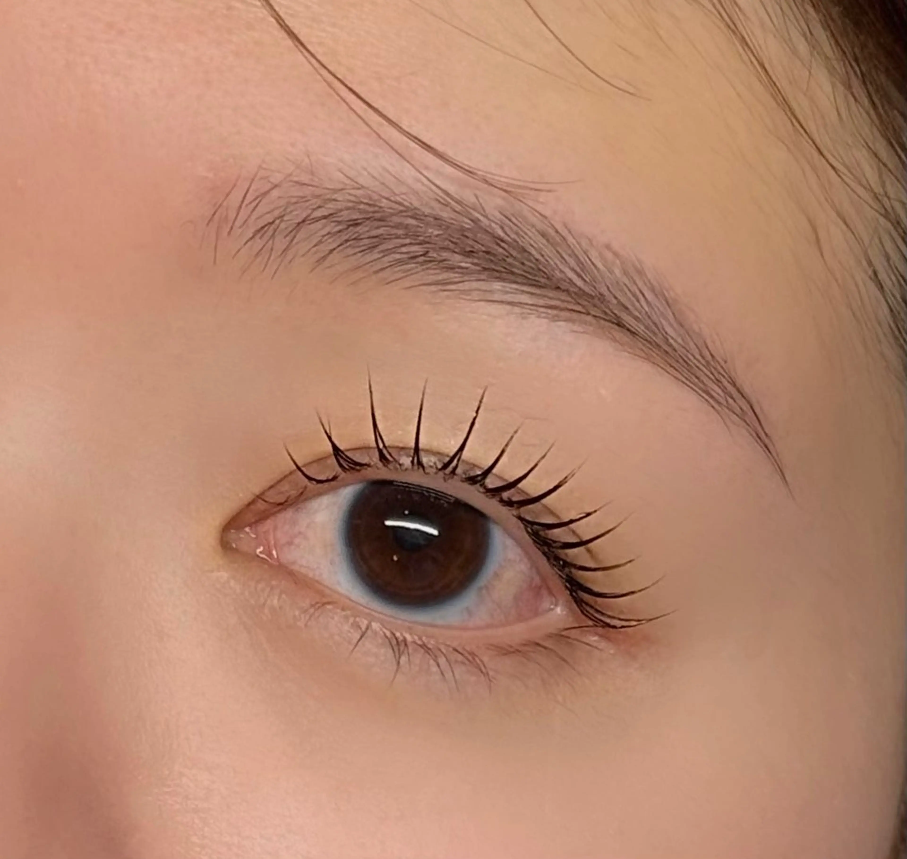 【技術向上モデル】目元トータルケア(まつげパーマ+美眉)※18:00.19:00スタートご希望の方のみの写真