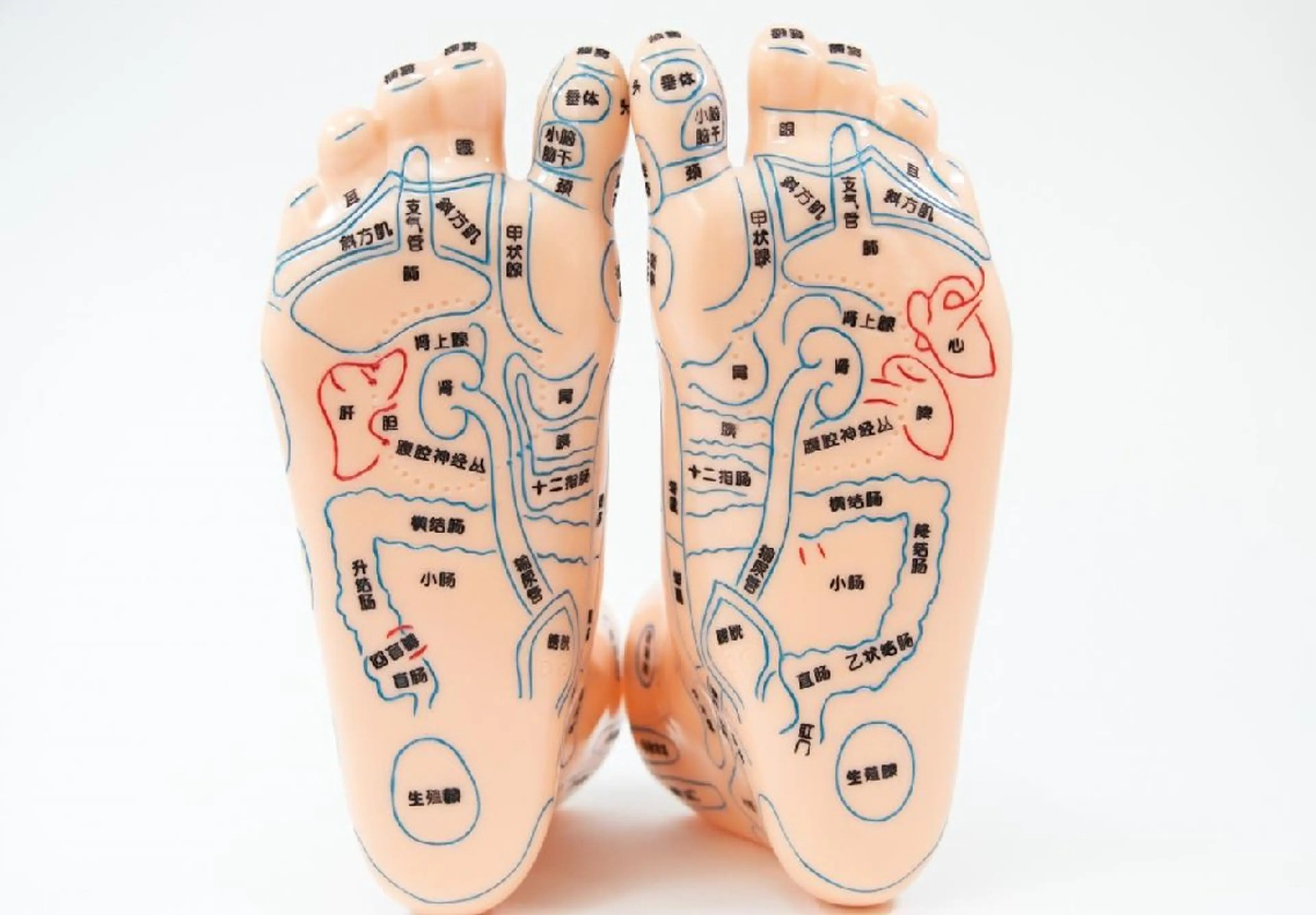 リラク 本格タイ古式マッサー ジ　女性専用サロンのエステ・リラクイメージ