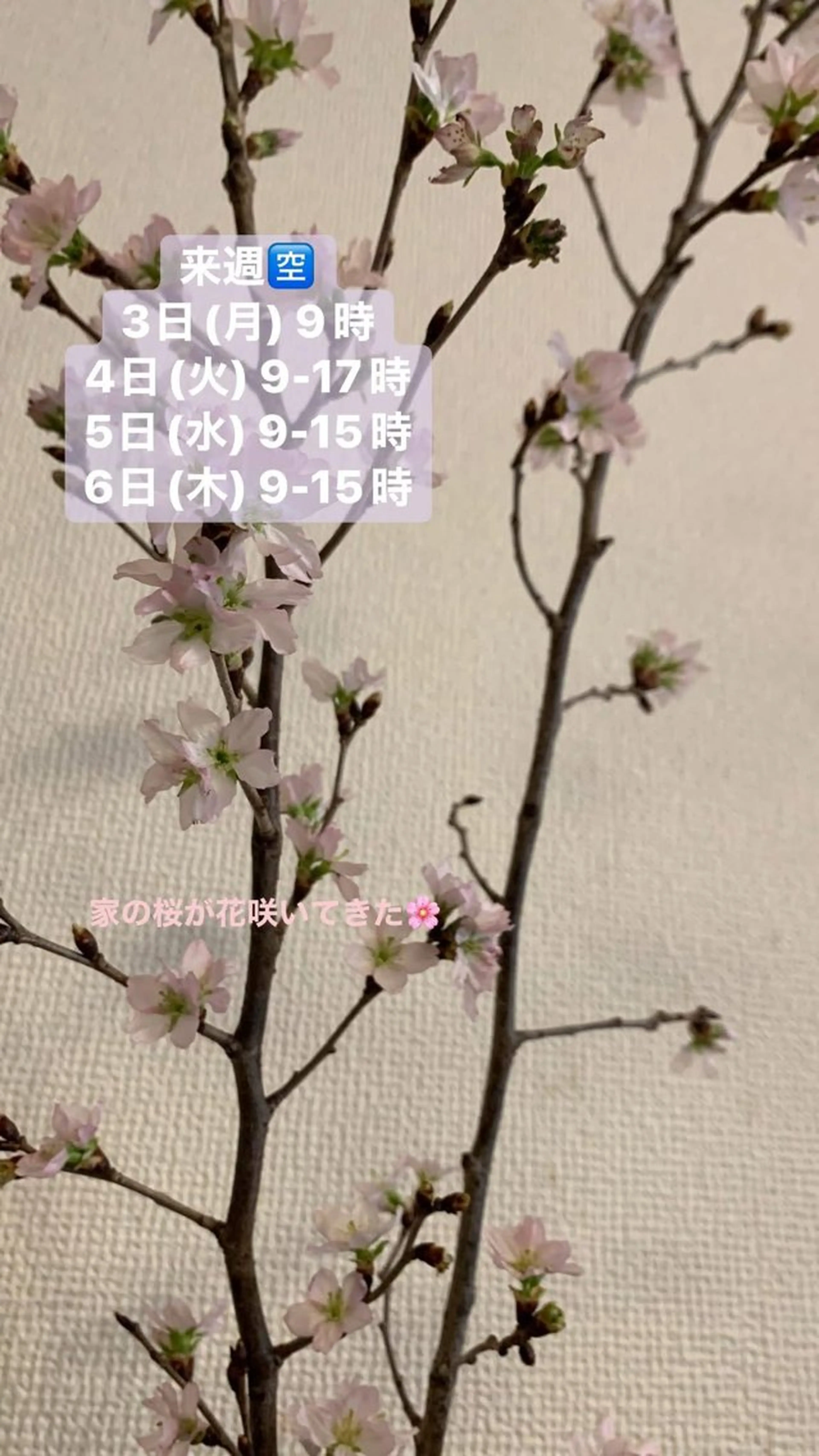 清水 由希のエステ・リラクイメージ