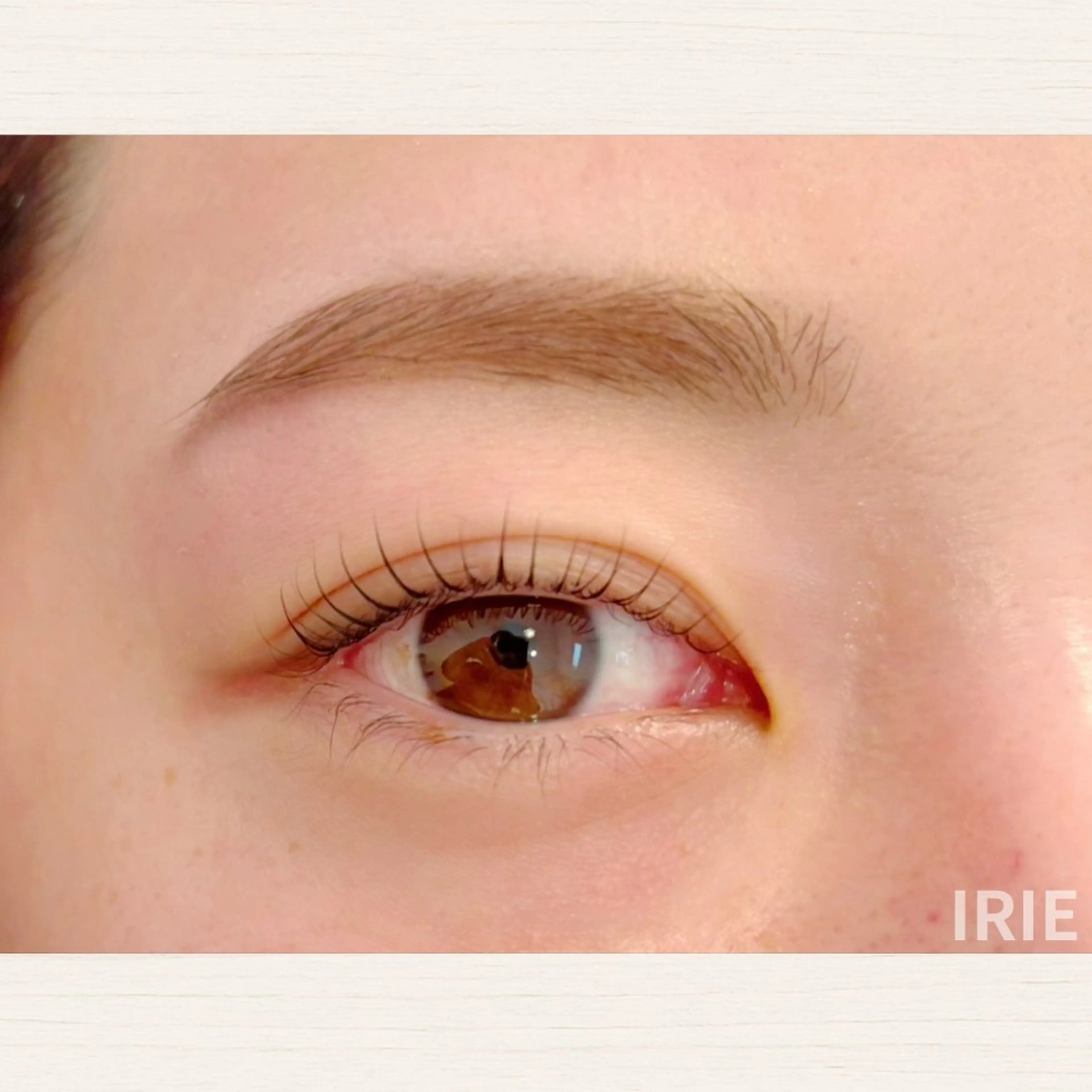 【前回の施術から4週以内】美まつ毛をキープ🪞✨トリートメントまつ毛パーマの写真