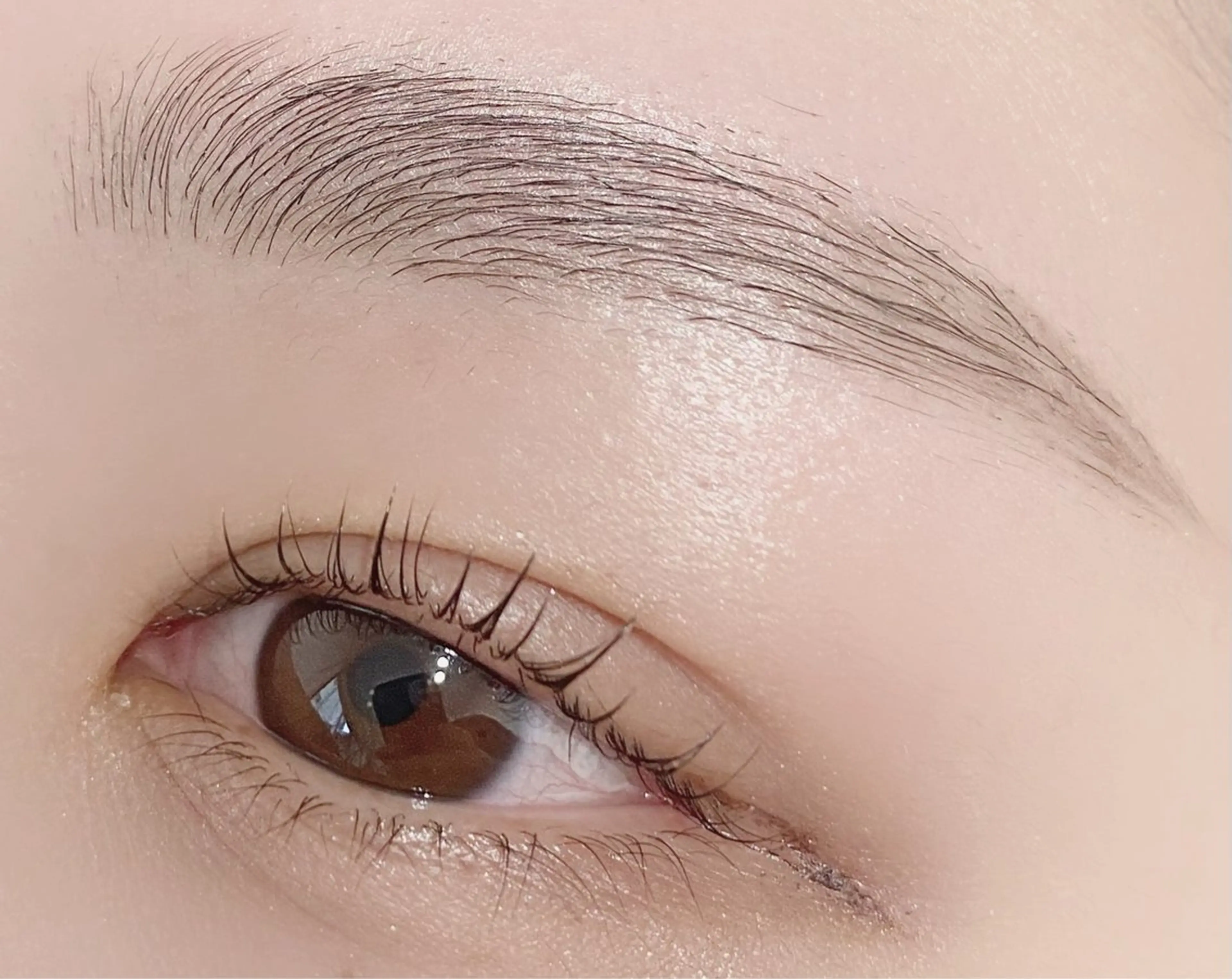 アイブロウ 眉毛ワックス脱毛 ワックス脱毛 眉カット その他(アイブロウ) 💎マツエク/眉毛 パリジェンヌ渋谷💎の眉毛・アイブロウイメージ