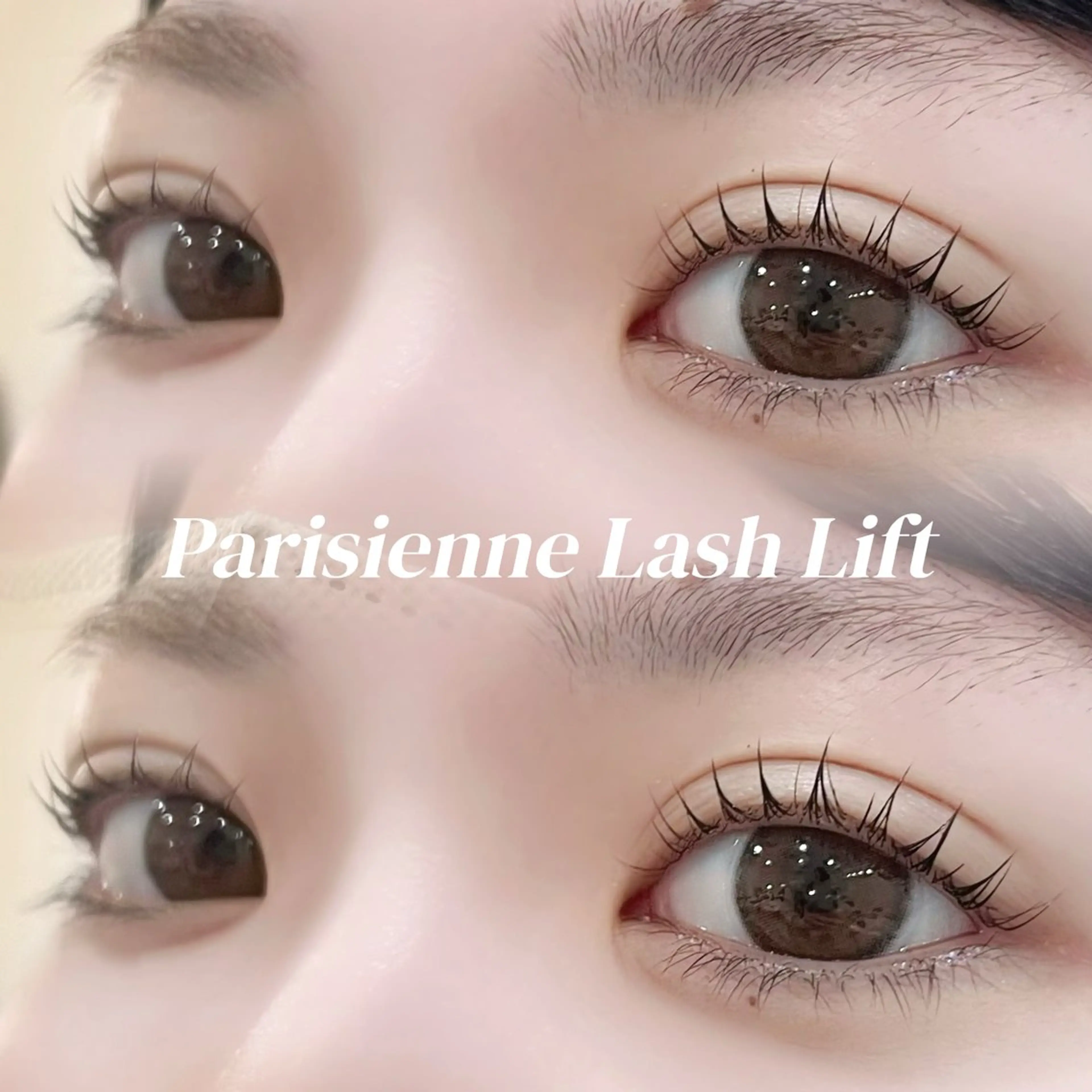 🪽パリジェンヌ🪽の写真