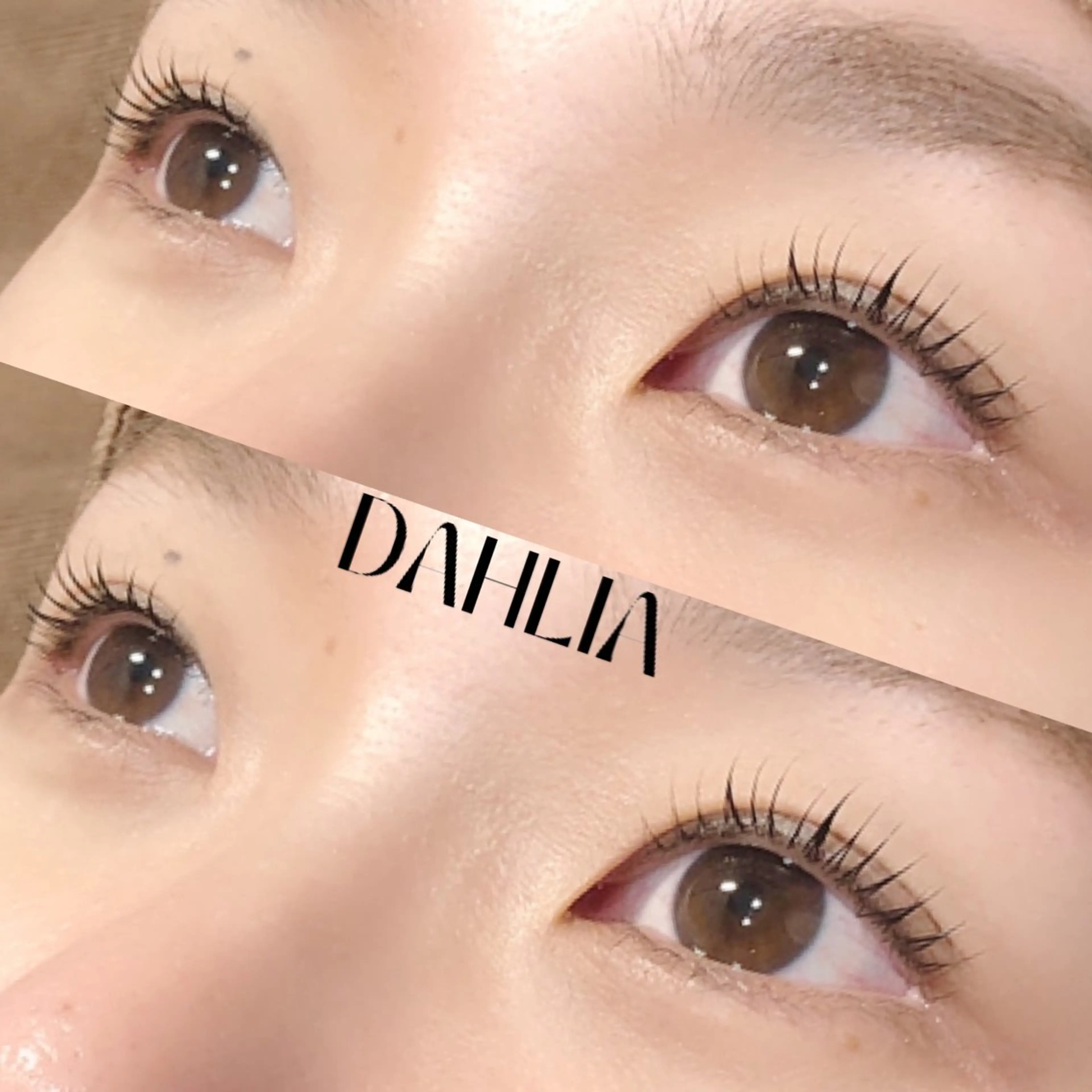 マツエク・マツパ まつげパーマ Dahliaダリア 斉藤のマツエク・マツパデザイン