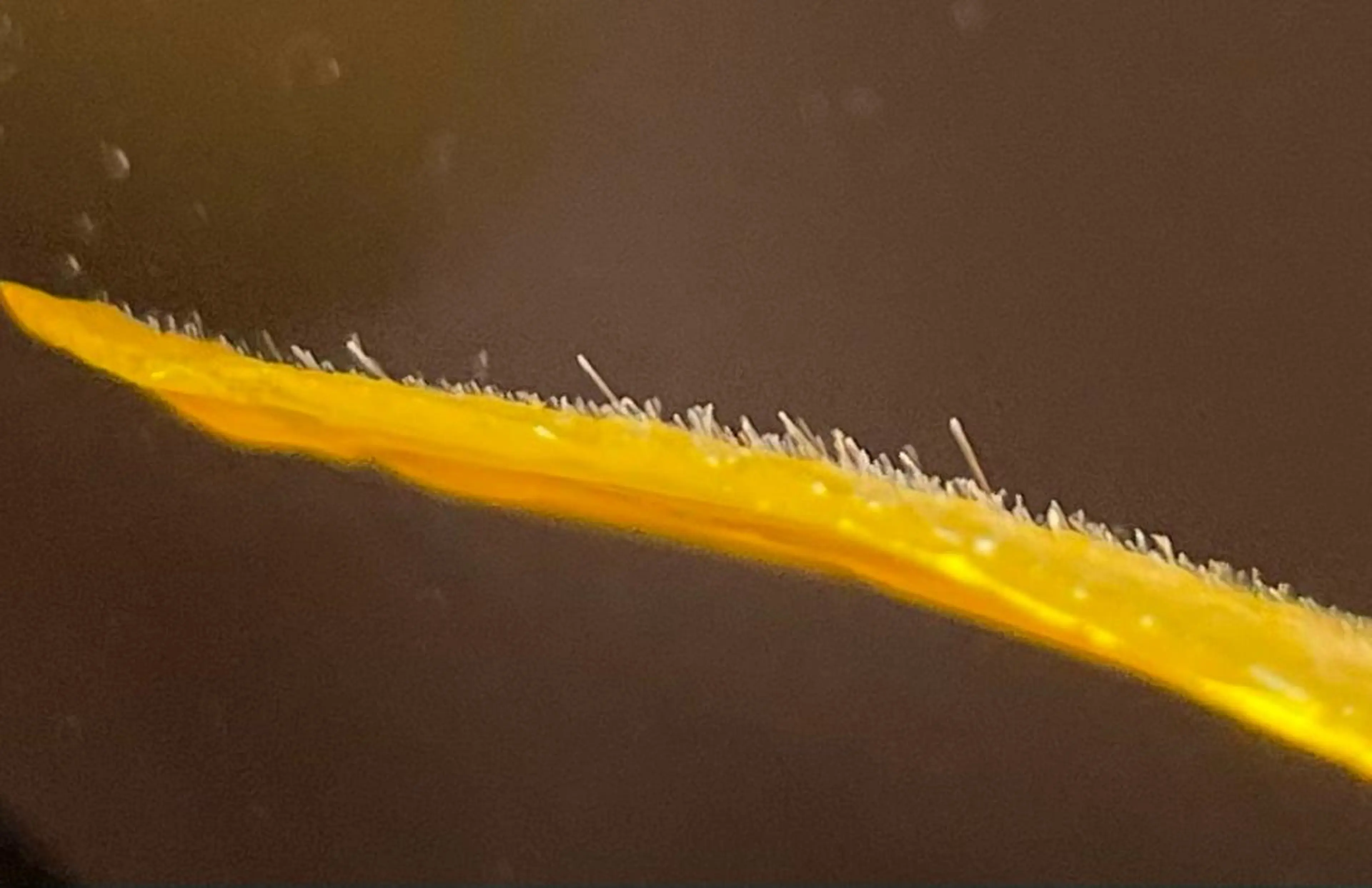 エステ 肌質改善◇結果重視 美麗-MIREI-のエステ・リラクイメージ