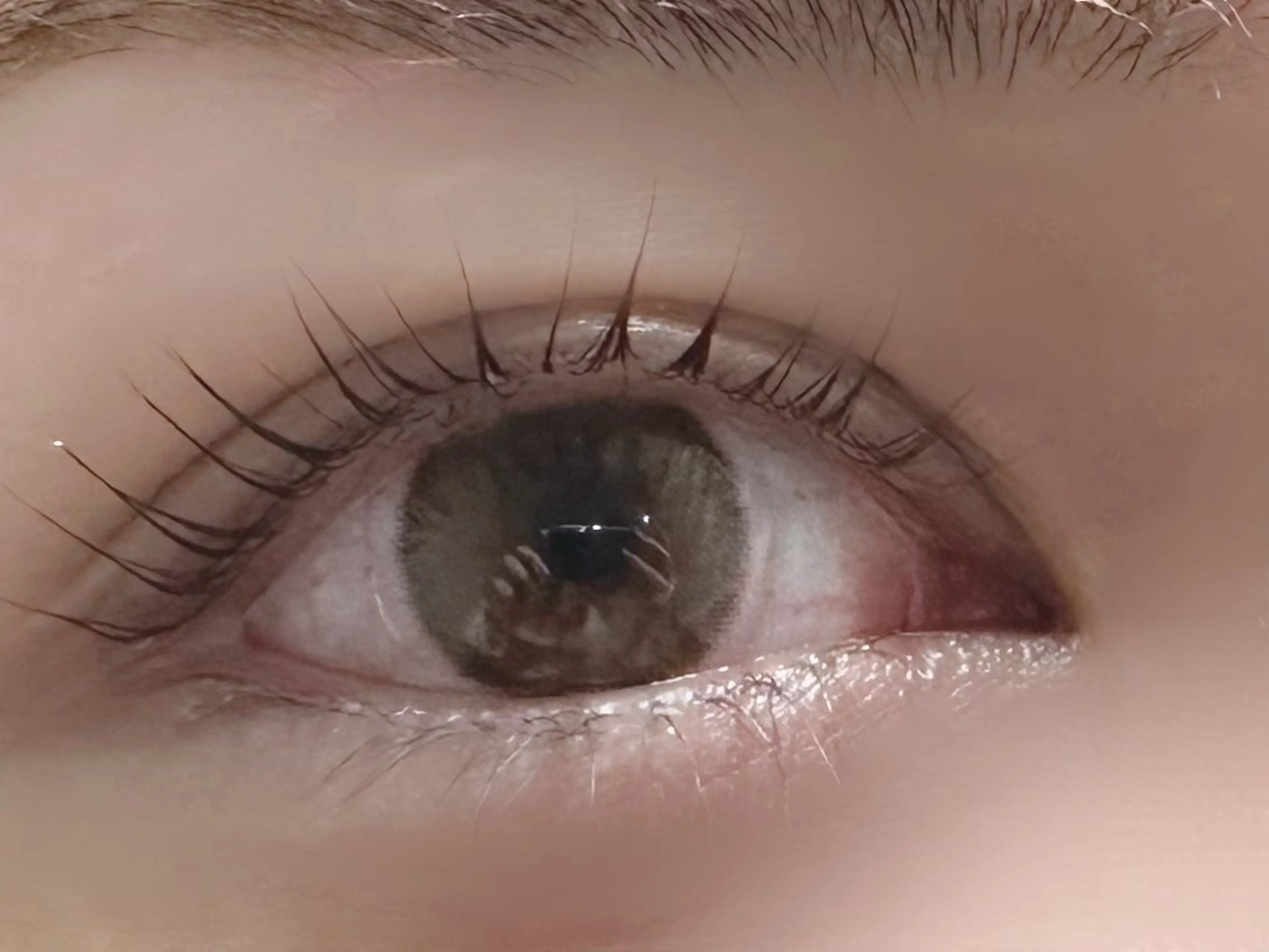 マツエク・マツパ ナチュラル まつげパーマ マツパ Emii Eyelash大通のマツエク・マツパデザイン