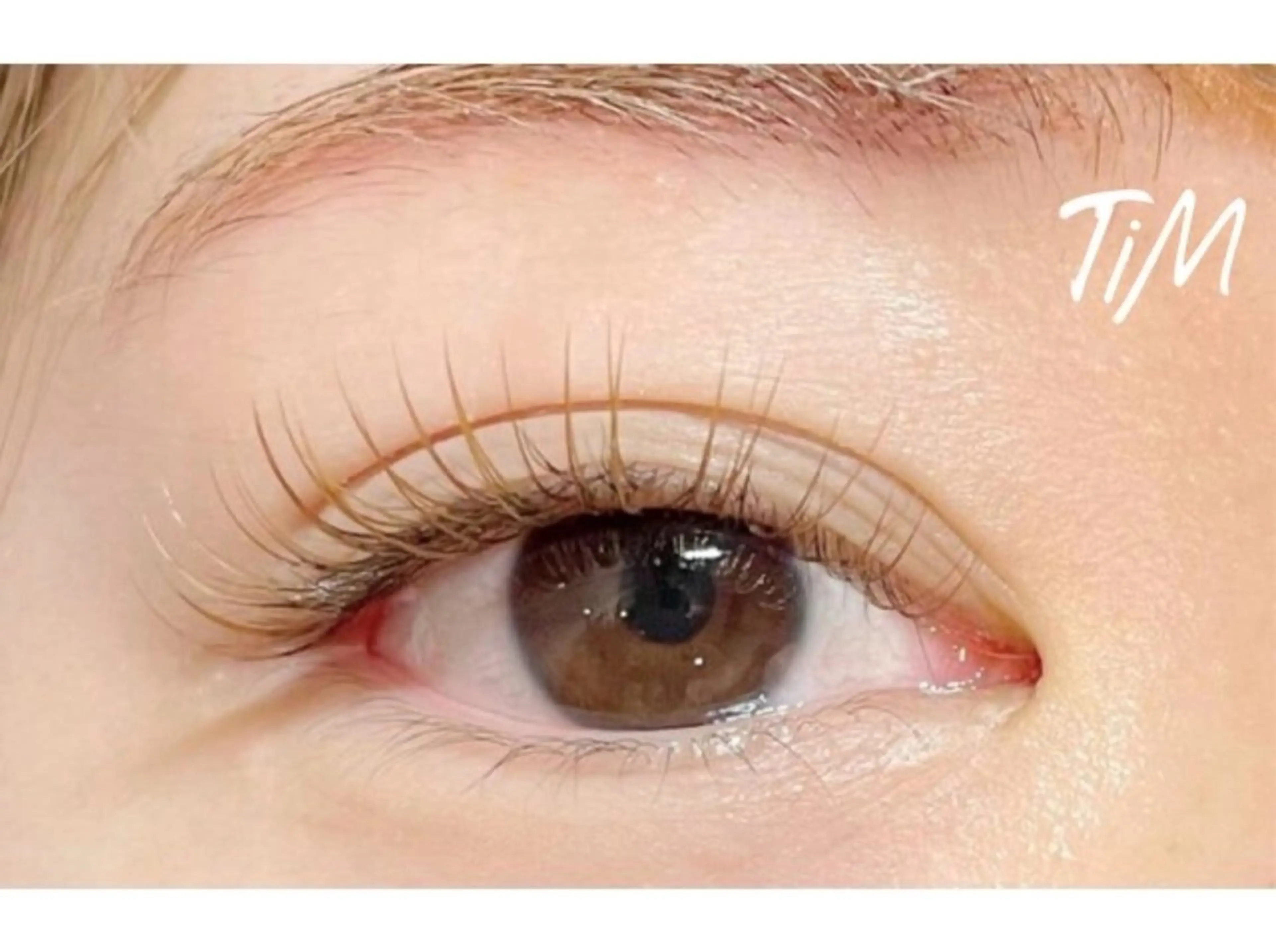 【自他店オフ込み】フラットラッシュブラウンカラー🤎100本の写真