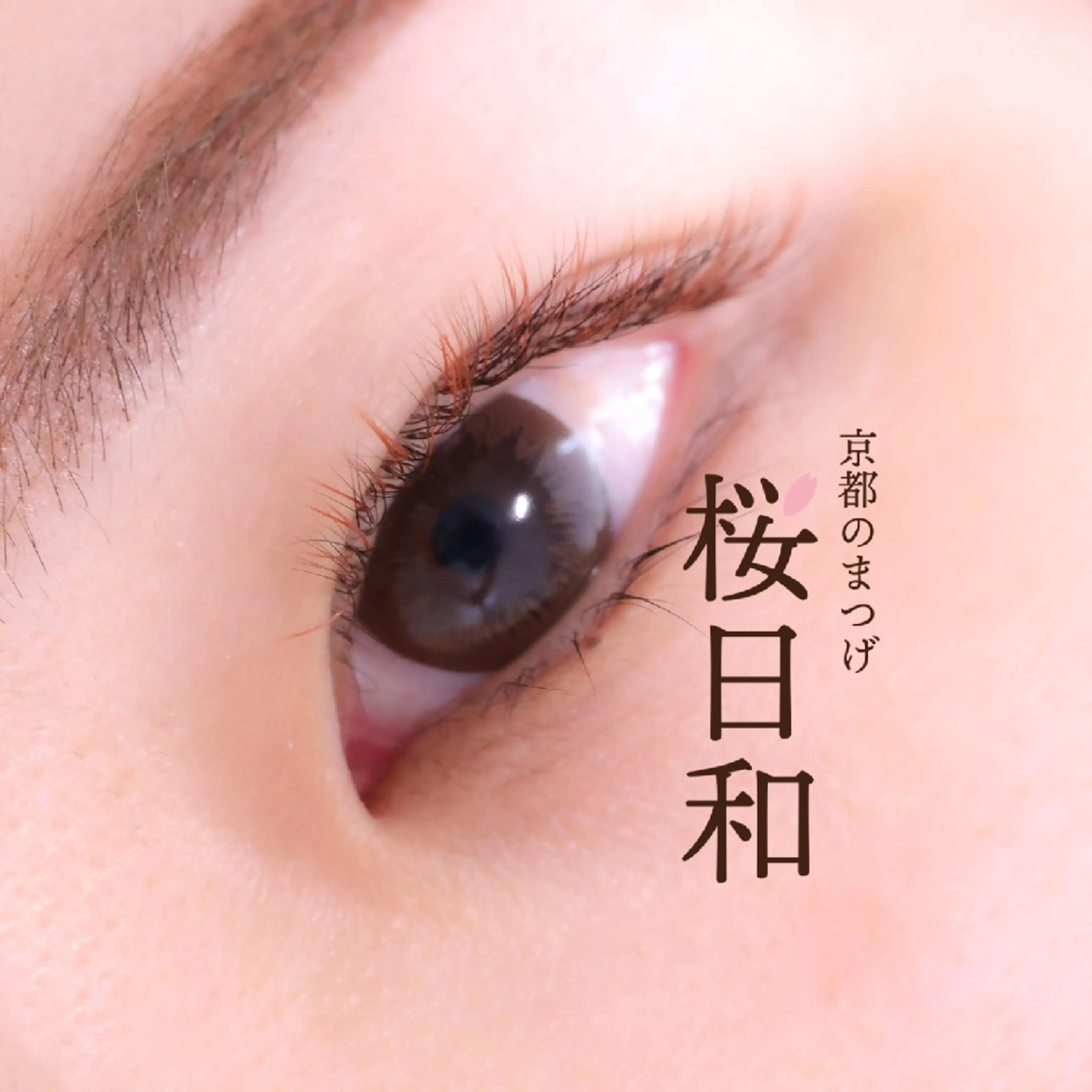 マツエク・マツパ カラーマツエク フラットラッシュ セクシー ボリュームラッシュ 京都のまつげ桜日和 小島美桜のマツエク・マツパデザイン