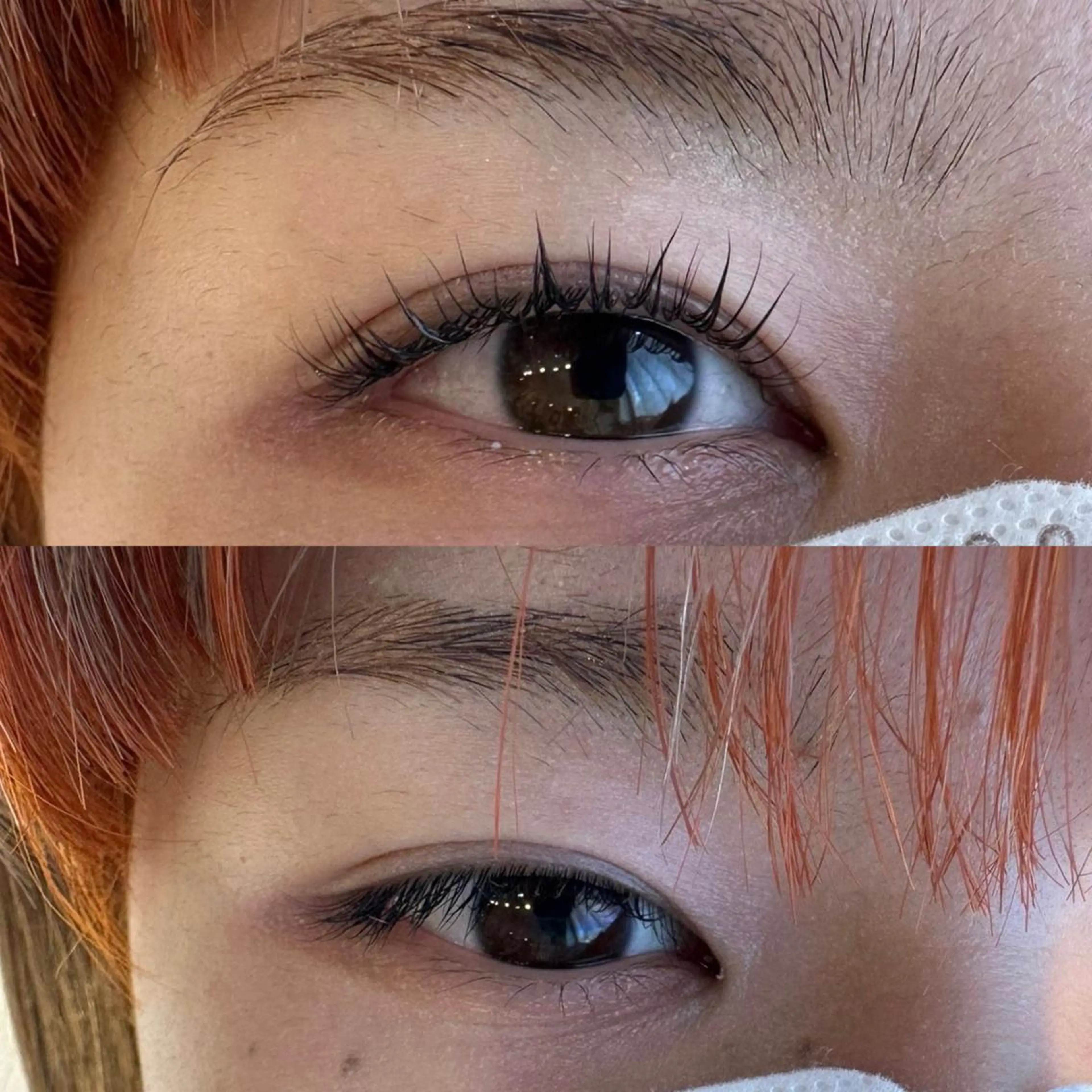 マツエク・マツパ Dカール パリジェンヌラッシュリフト 一重×まつ毛パーマ Colk ☆のマツエク・マツパデザイン