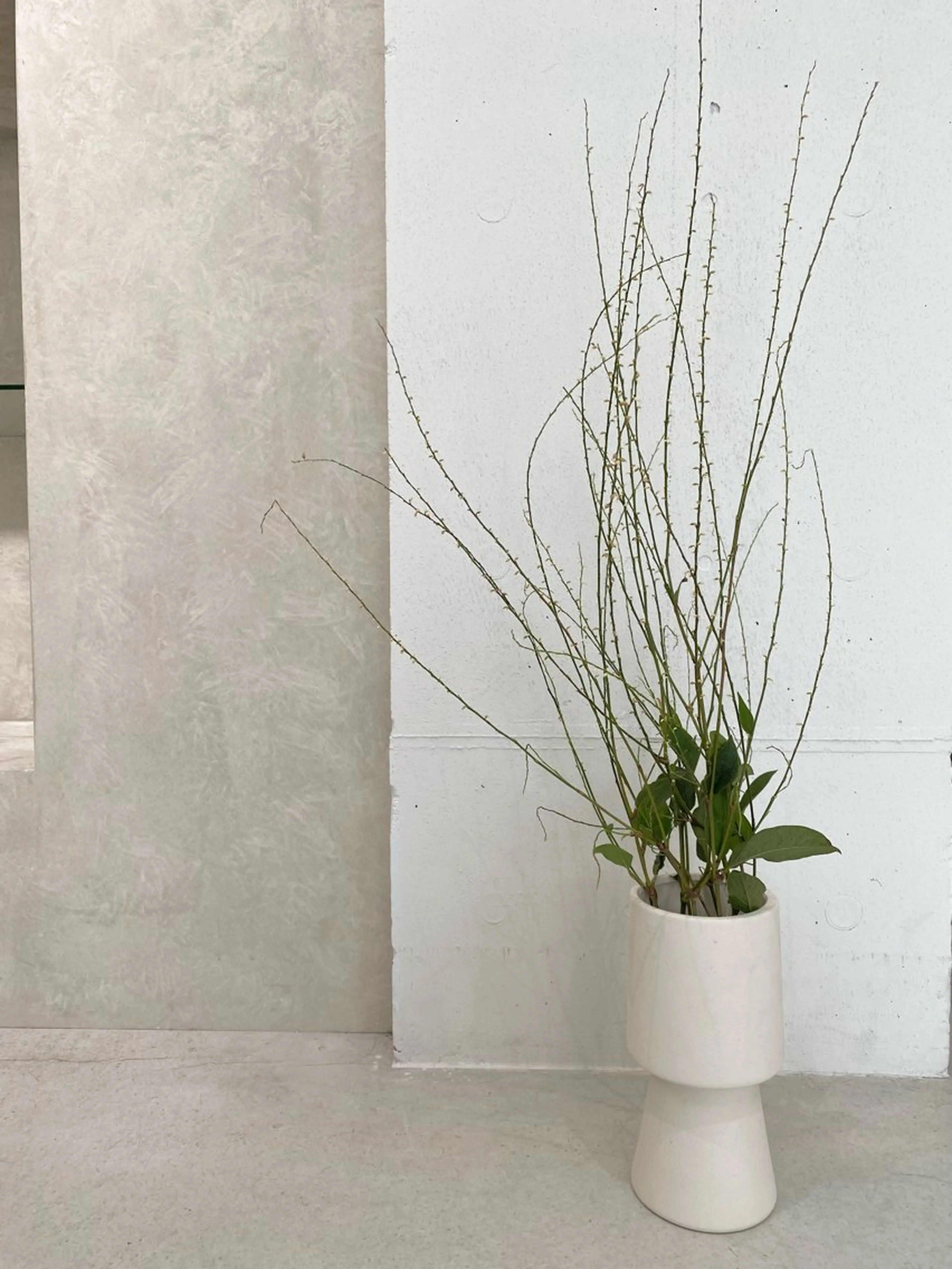 キッズ 子どものヘアアレンジ カット ヘアカラー トリートメント 🪻花屋併設🪻秀島 有紀のヘアスタイル