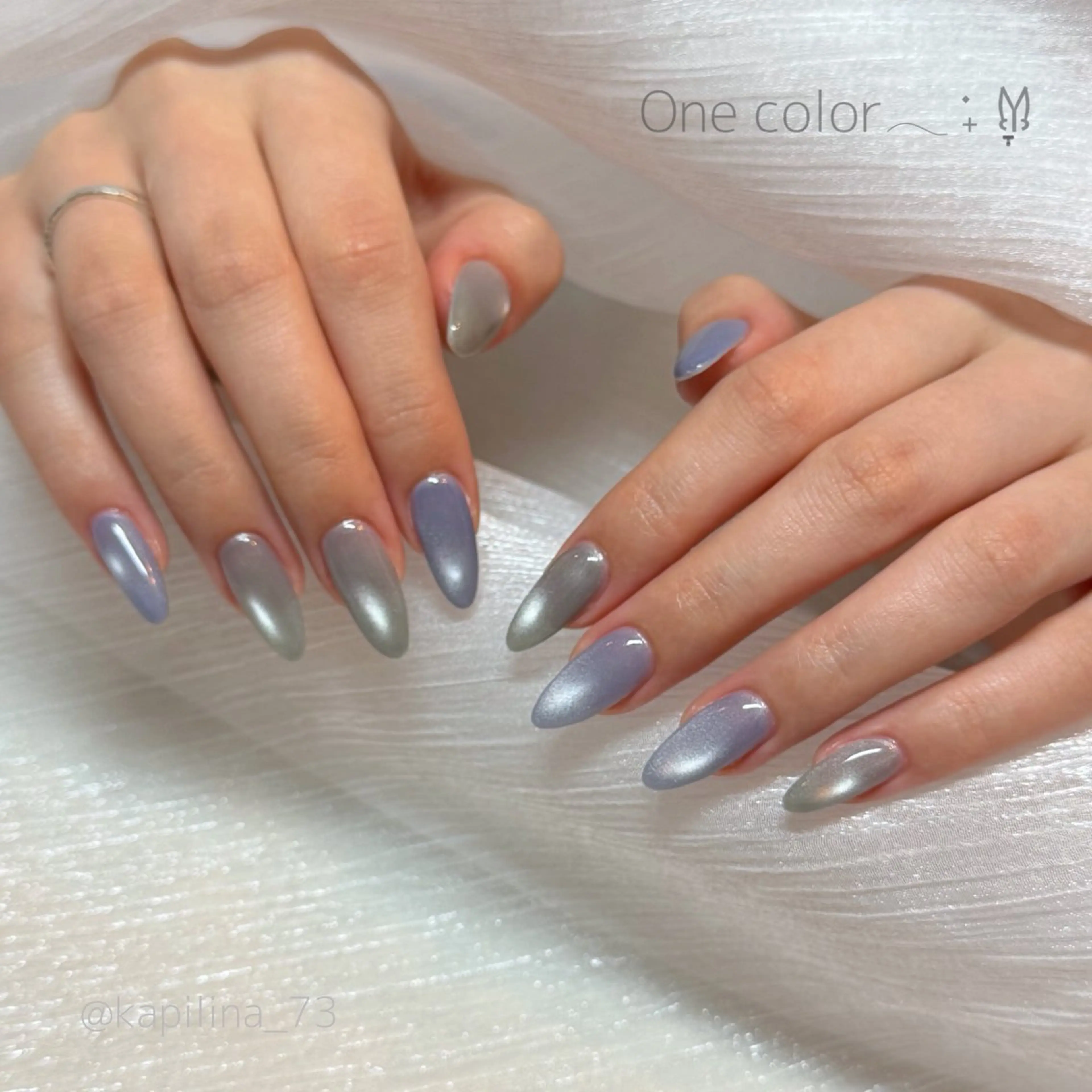 ネイル マグネットネイル マグネットワンカラー ワンカラーネイル ハンドネイル Kapilina🌺 MOMOのネイルデザイン