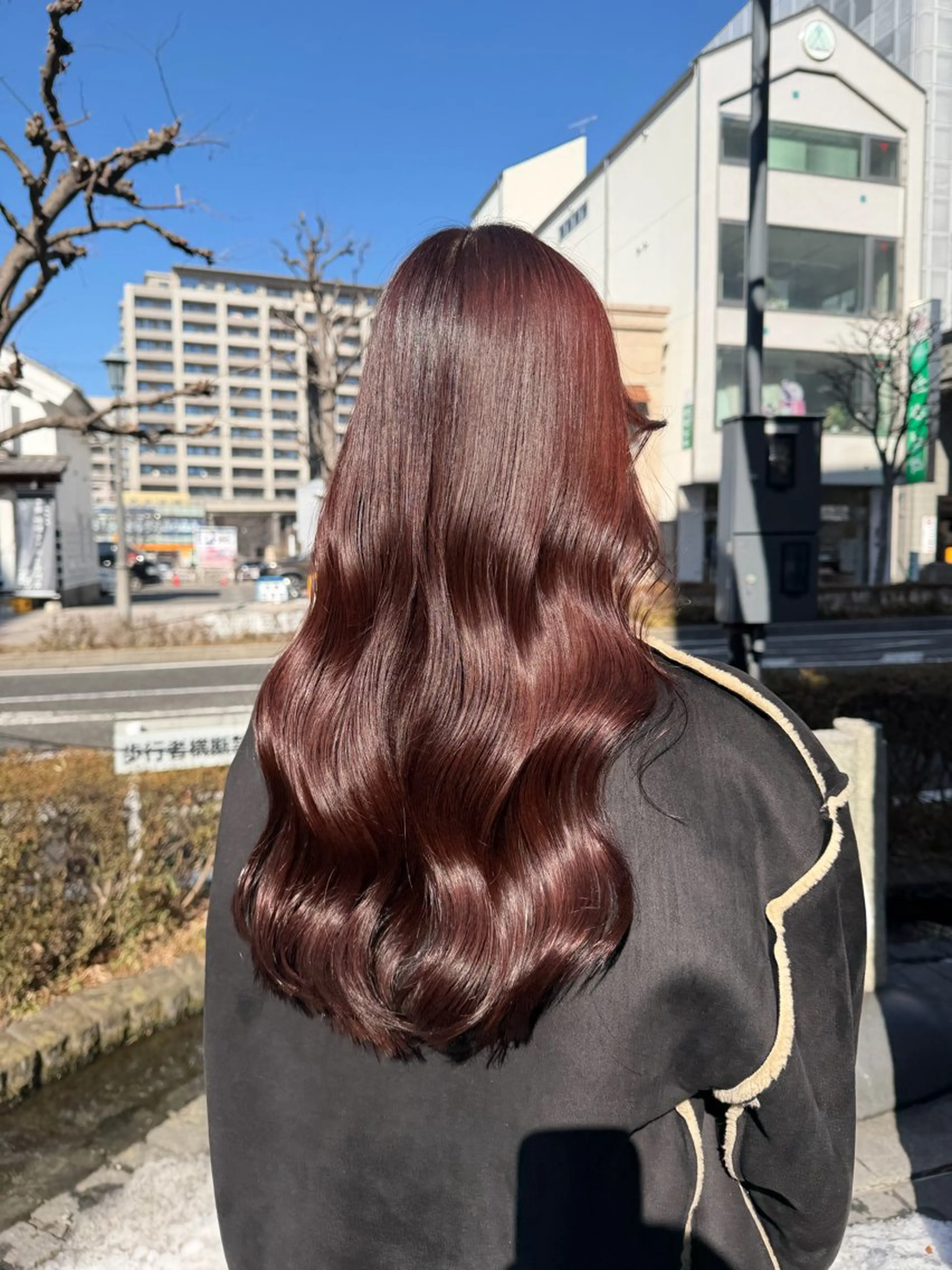 ロング ヘアカラー ななる ／モデル様募集中‼️のヘアスタイル