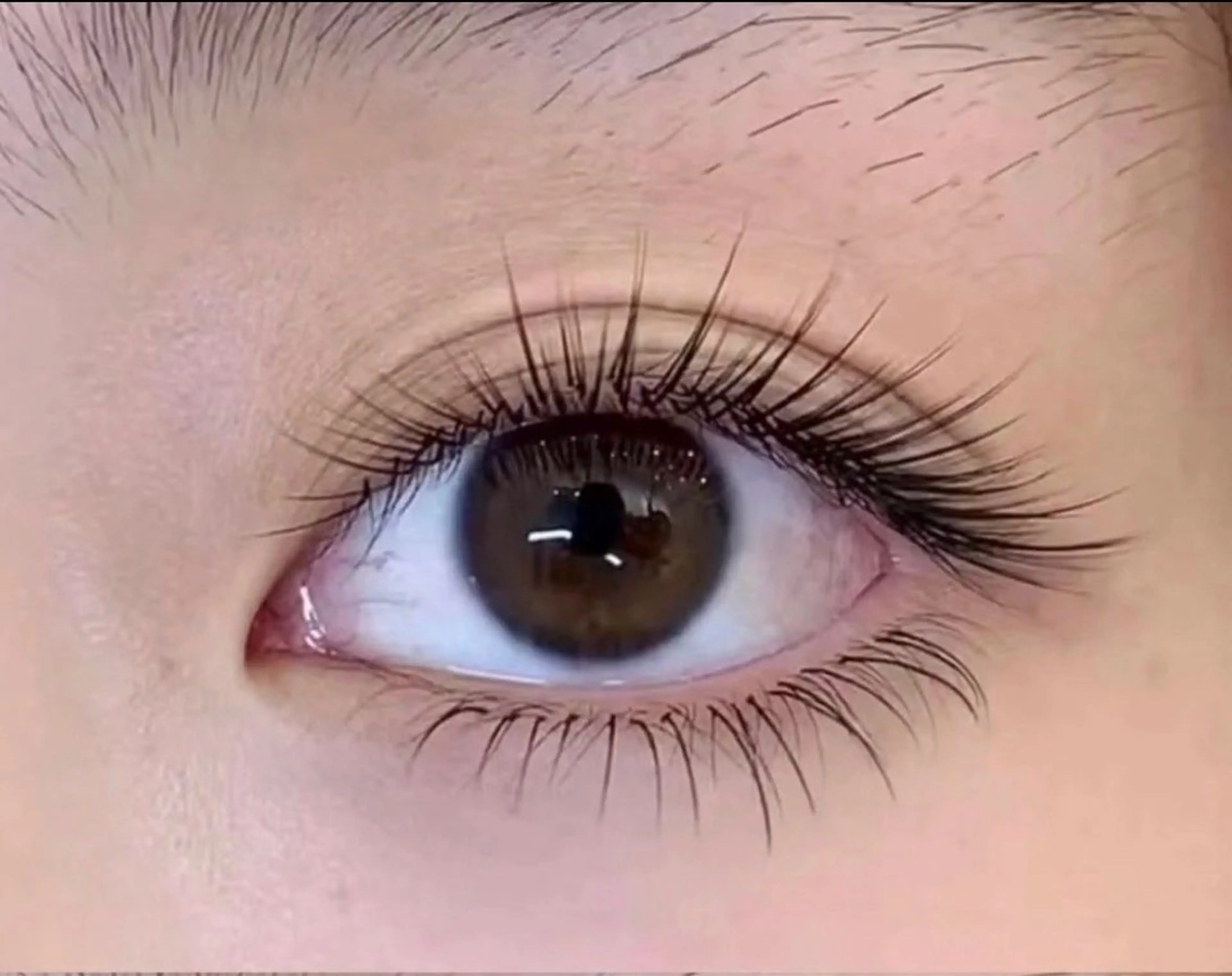 【アイ人気No.1】フラットラッシュ100本×下毛20本（上下）の写真