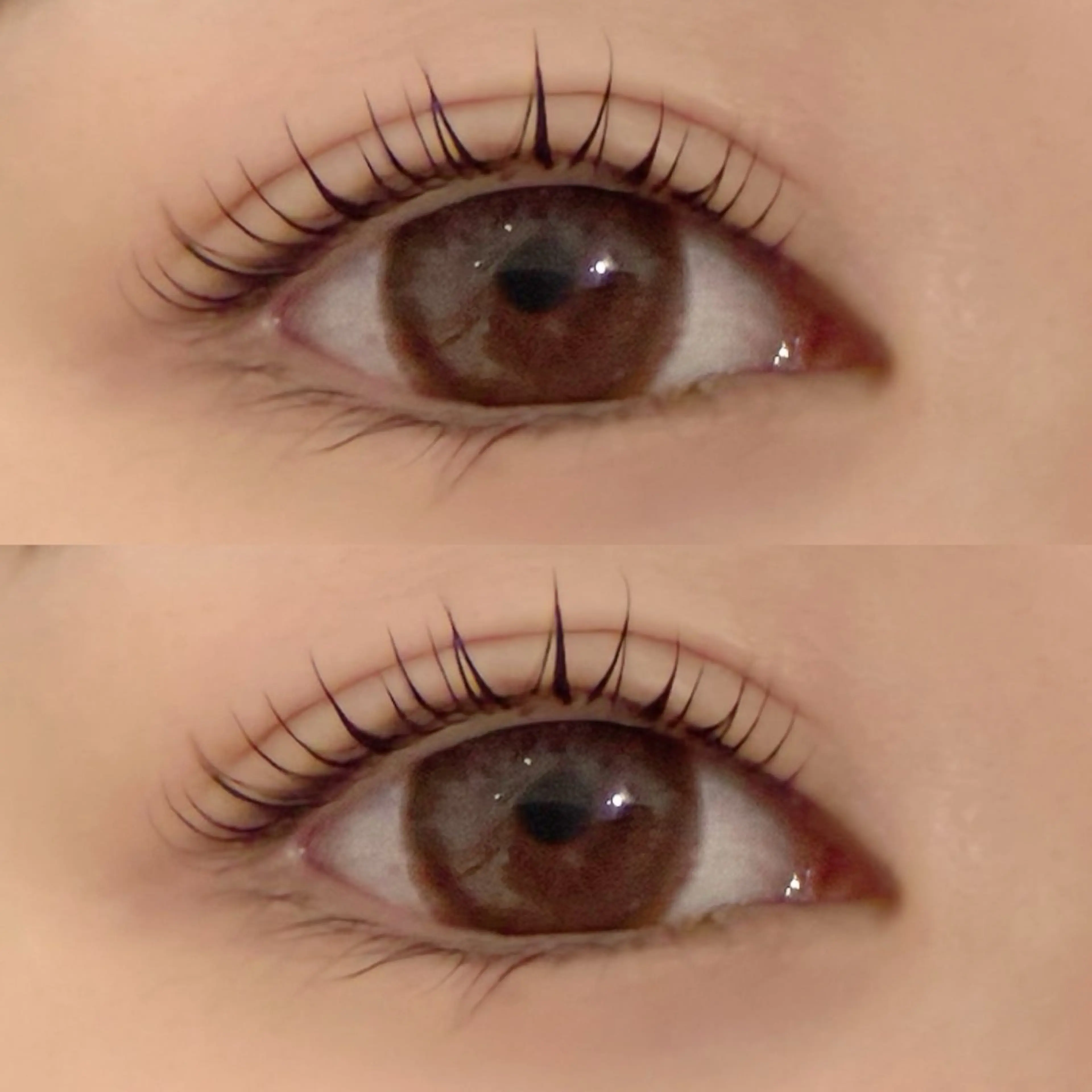 マツエク・マツパ サクラブロウ 第2ビル店　小松のマツエク・マツパデザイン