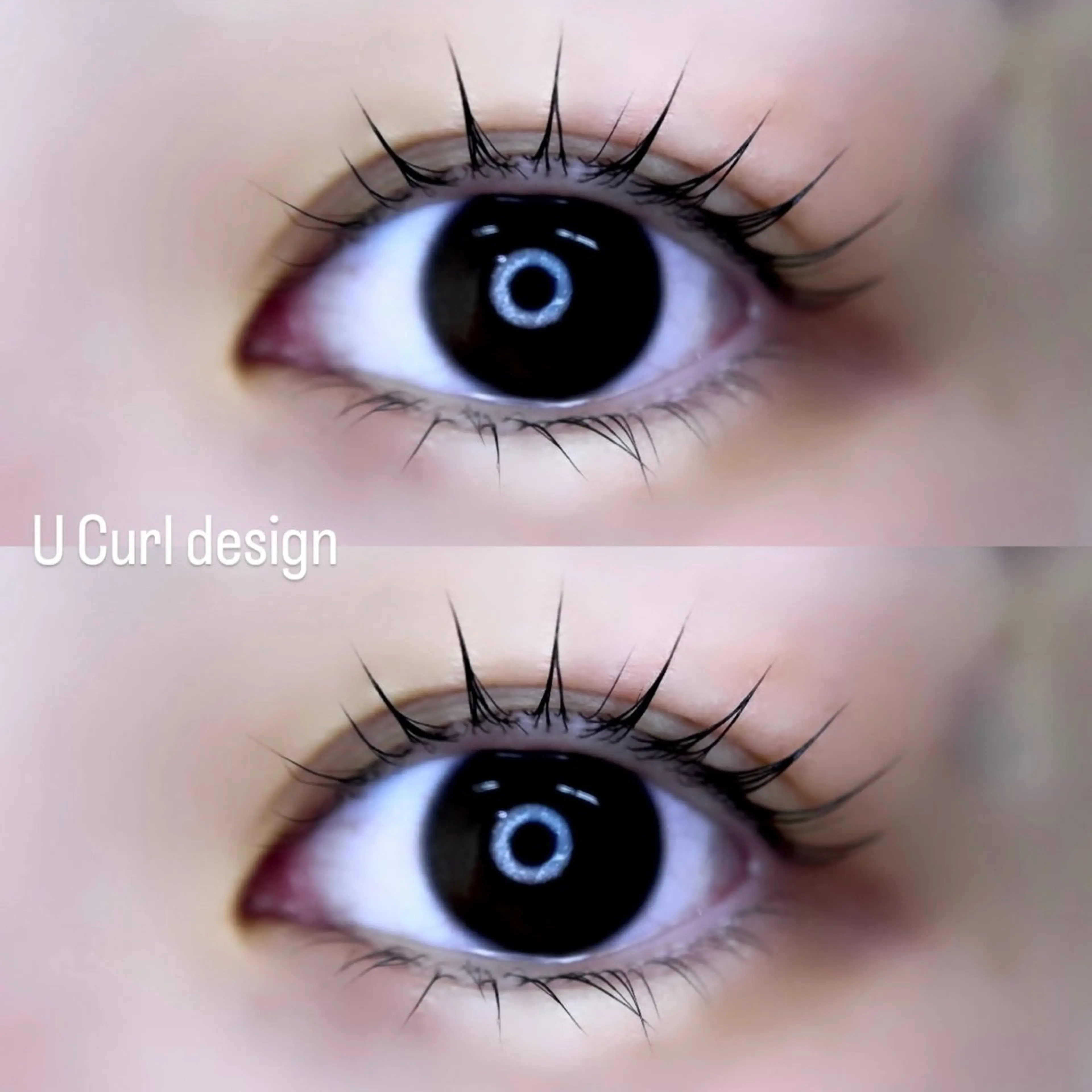 マツエク・マツパ arce -ｱﾙｾ- 🔅ヒマワリのマツエク・マツパデザイン