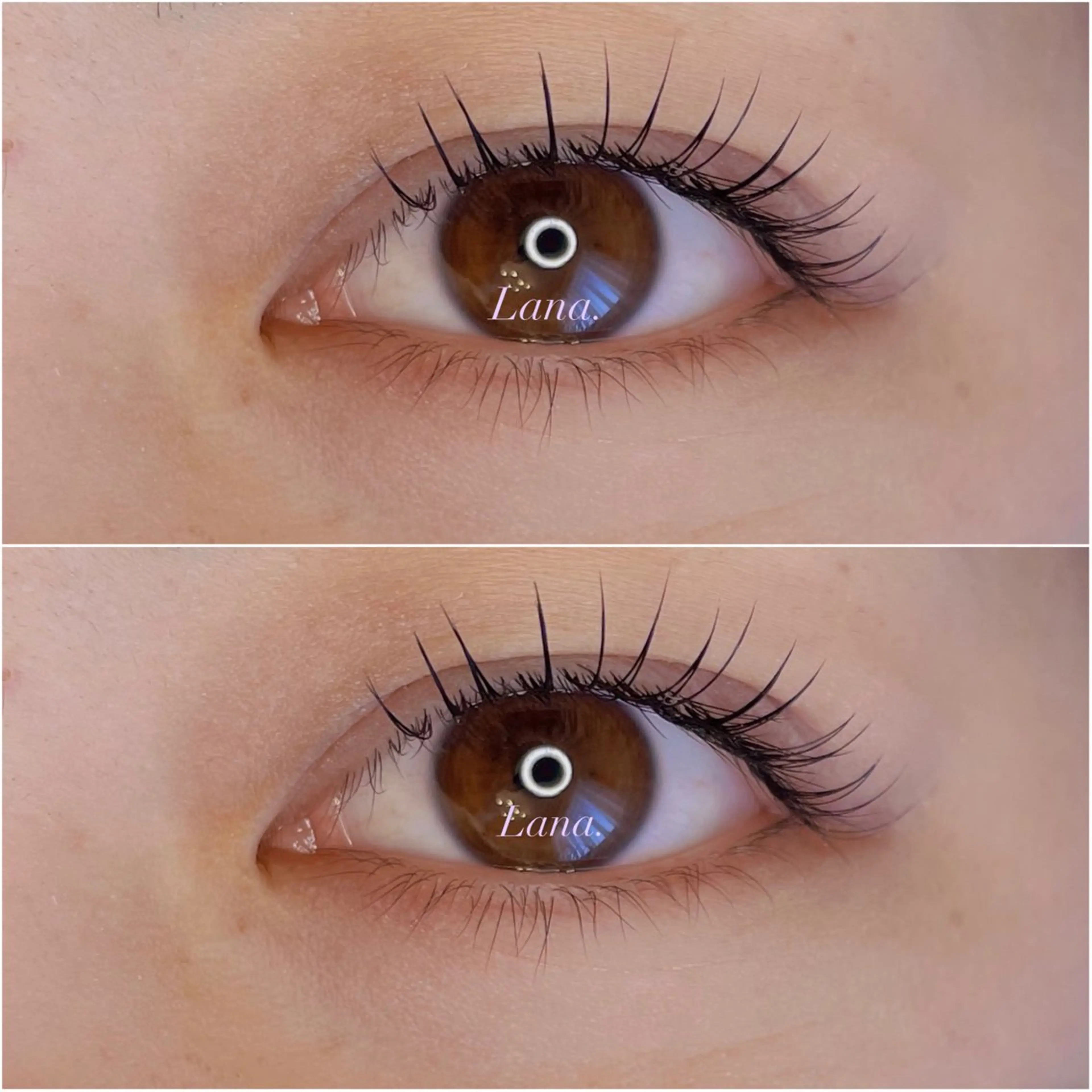 マツエク・マツパ Lana.eyebeauty &eyeblow所属・Lana. *・eye&browのマツエク・マツパデザイン