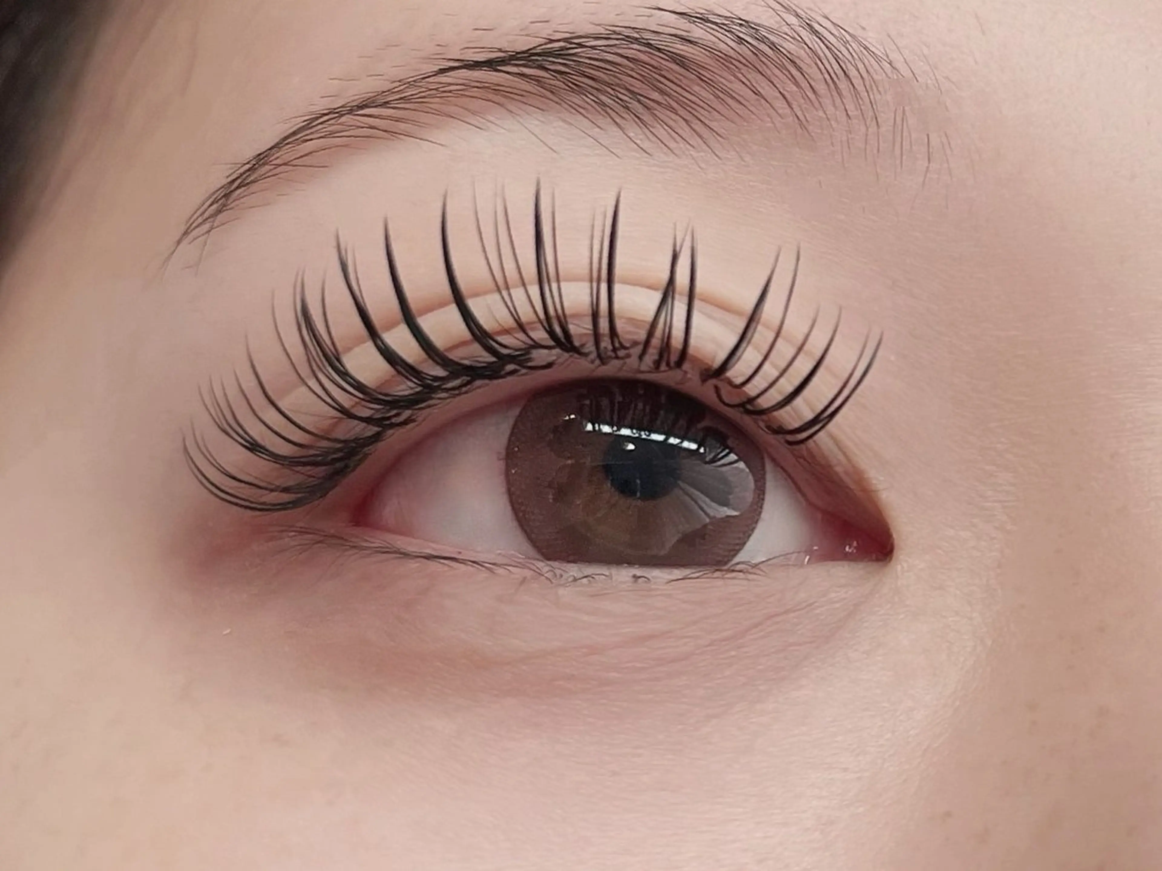 バインドロック or Wフラット✨100束【オフ別途】¥7500の写真