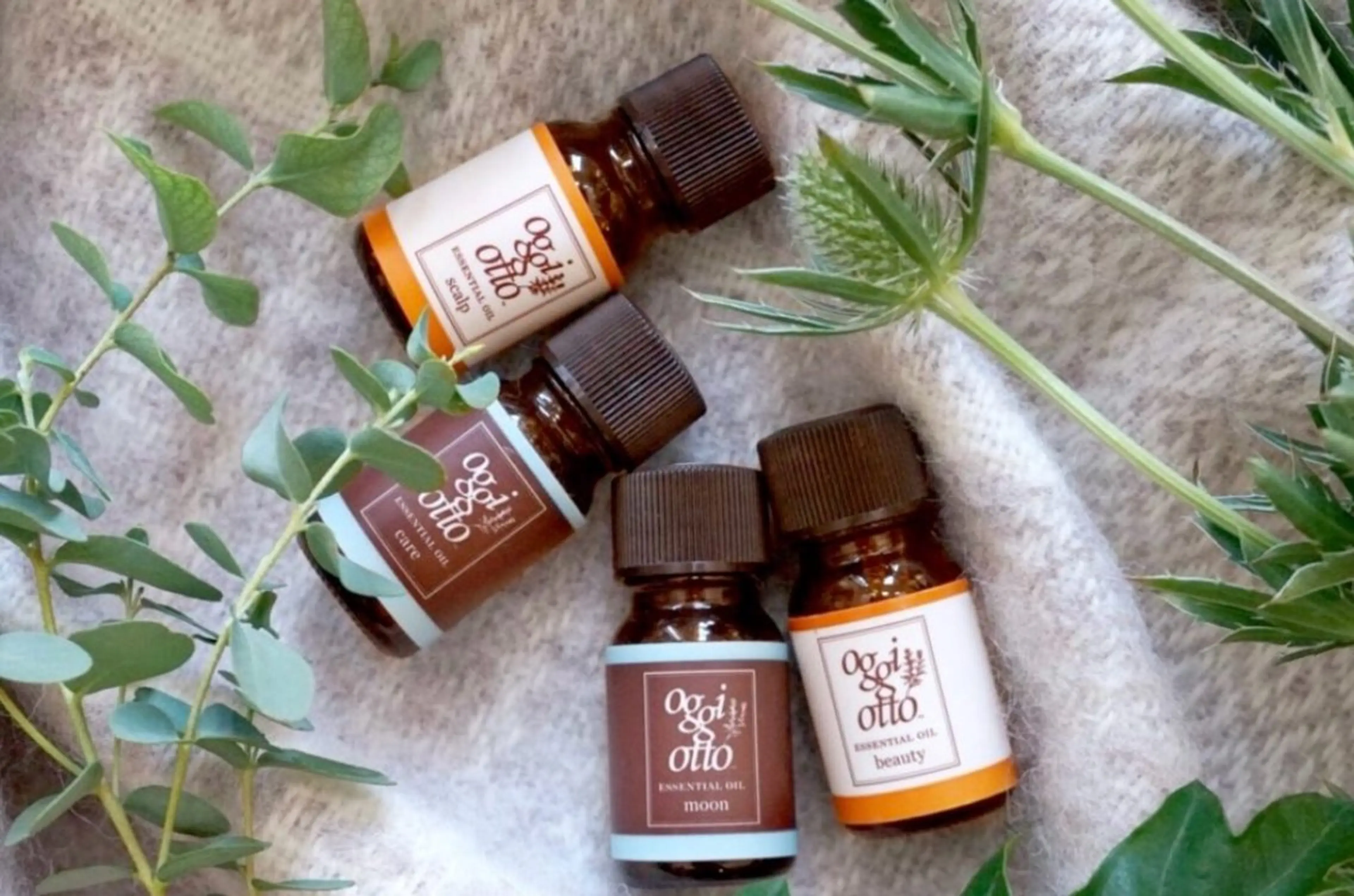 【 ヘッドスパ 35分 】香りが選べるアロマオイル付き🪻🫧‪日々の疲れを癒しましょう𓈒𓏸︎︎︎︎の写真