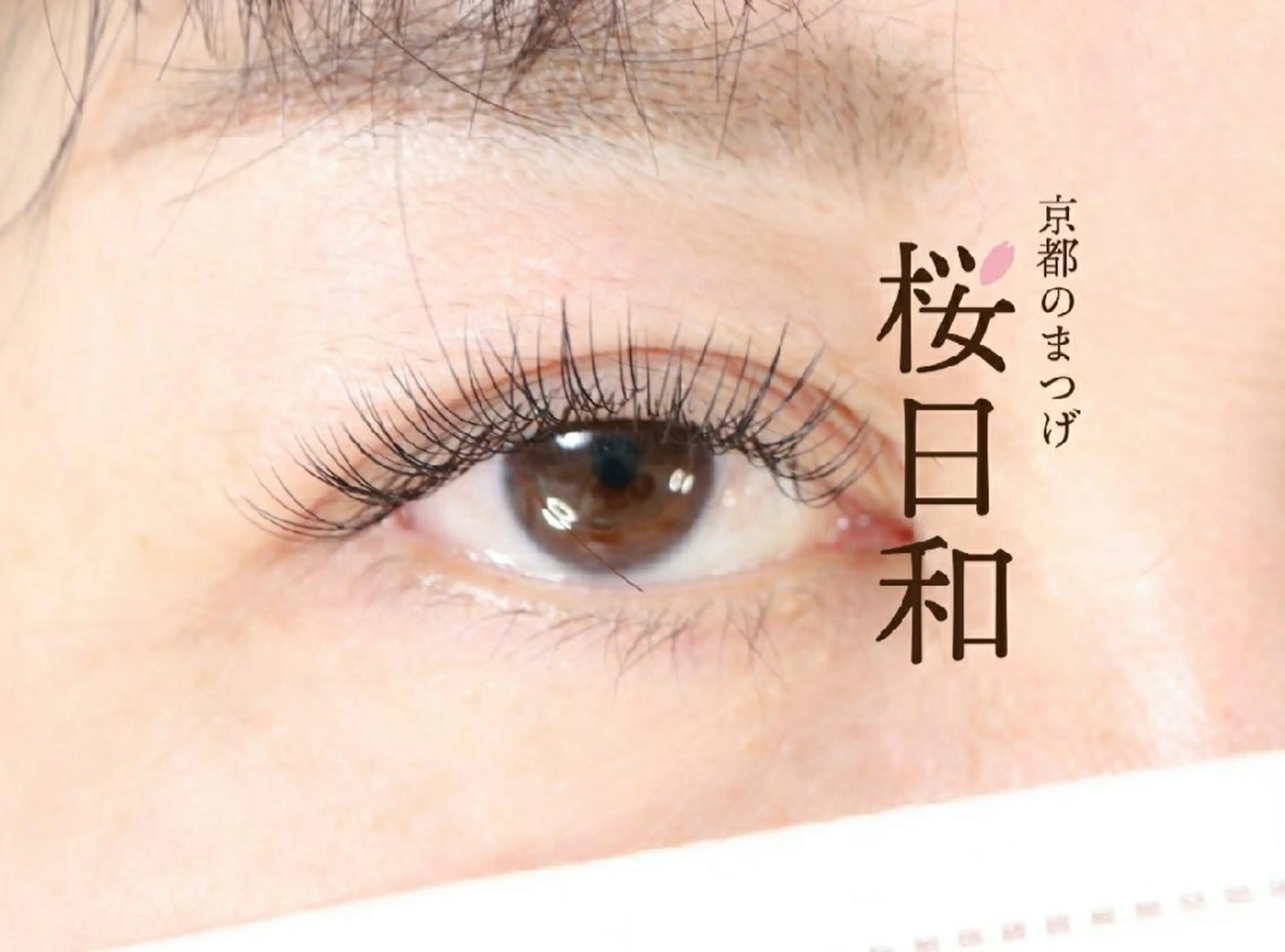 マツエク・マツパ Cカール カラーマツエク フラットラッシュ ナチュラル パリジェンヌラッシュリフト 京都のまつげ桜日和 小島美桜のマツエク・マツパデザイン