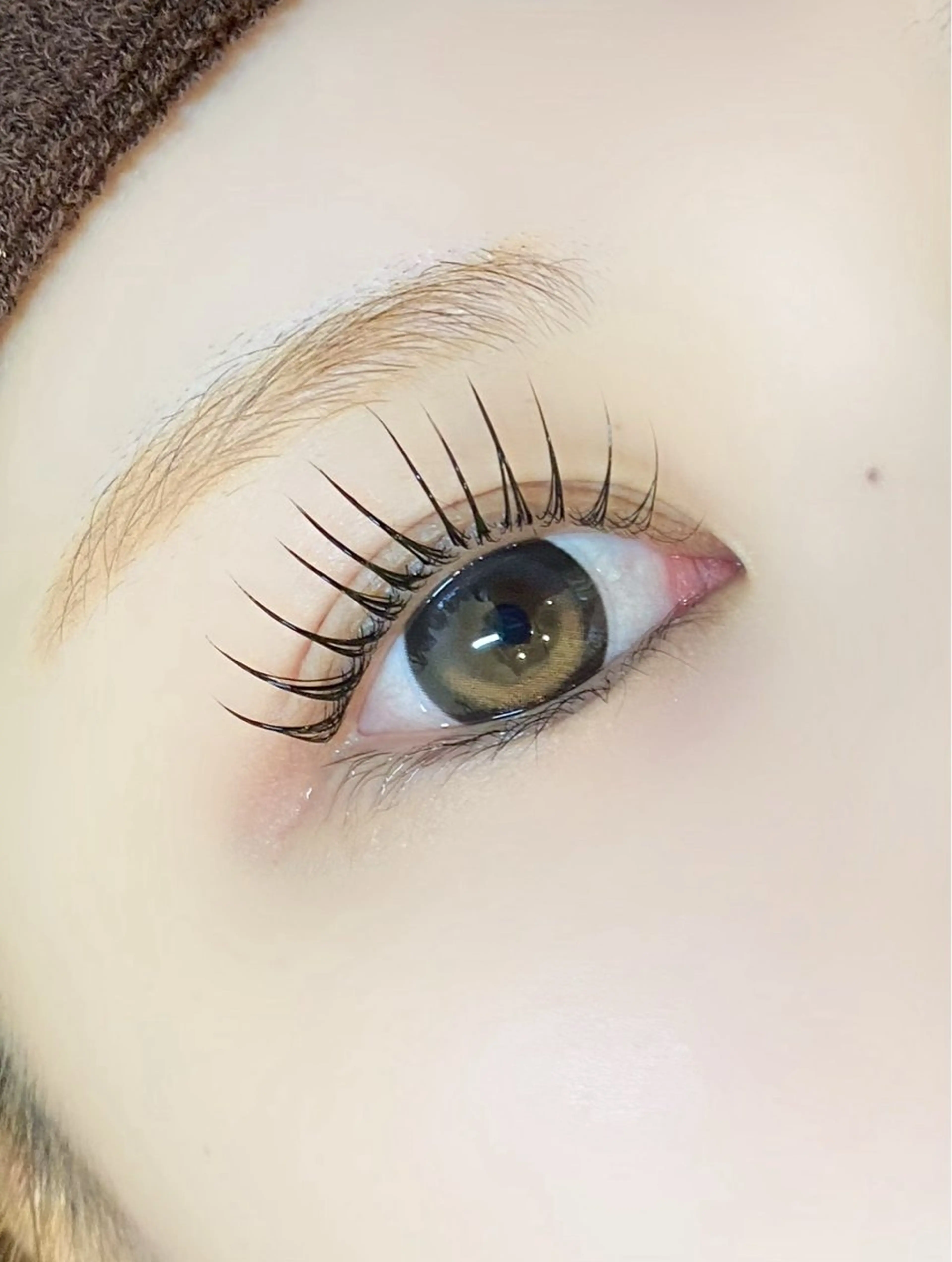 【4月限定】ラッシュリフト🪄+アイシャンプー🫧の写真