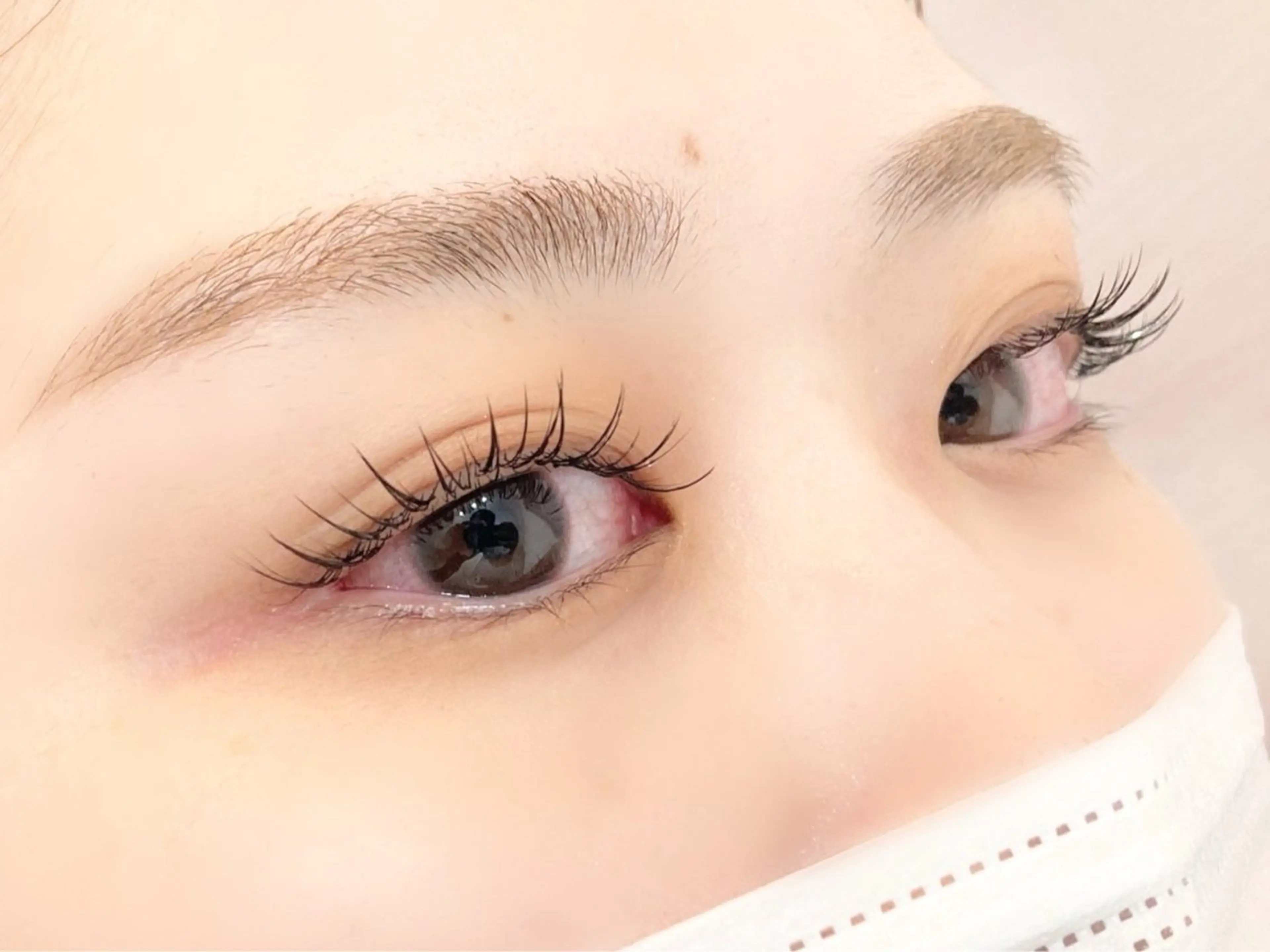 🌷【19時半以降のみ】ミニモ限定価格🌷マツエク100本　¥3980の写真