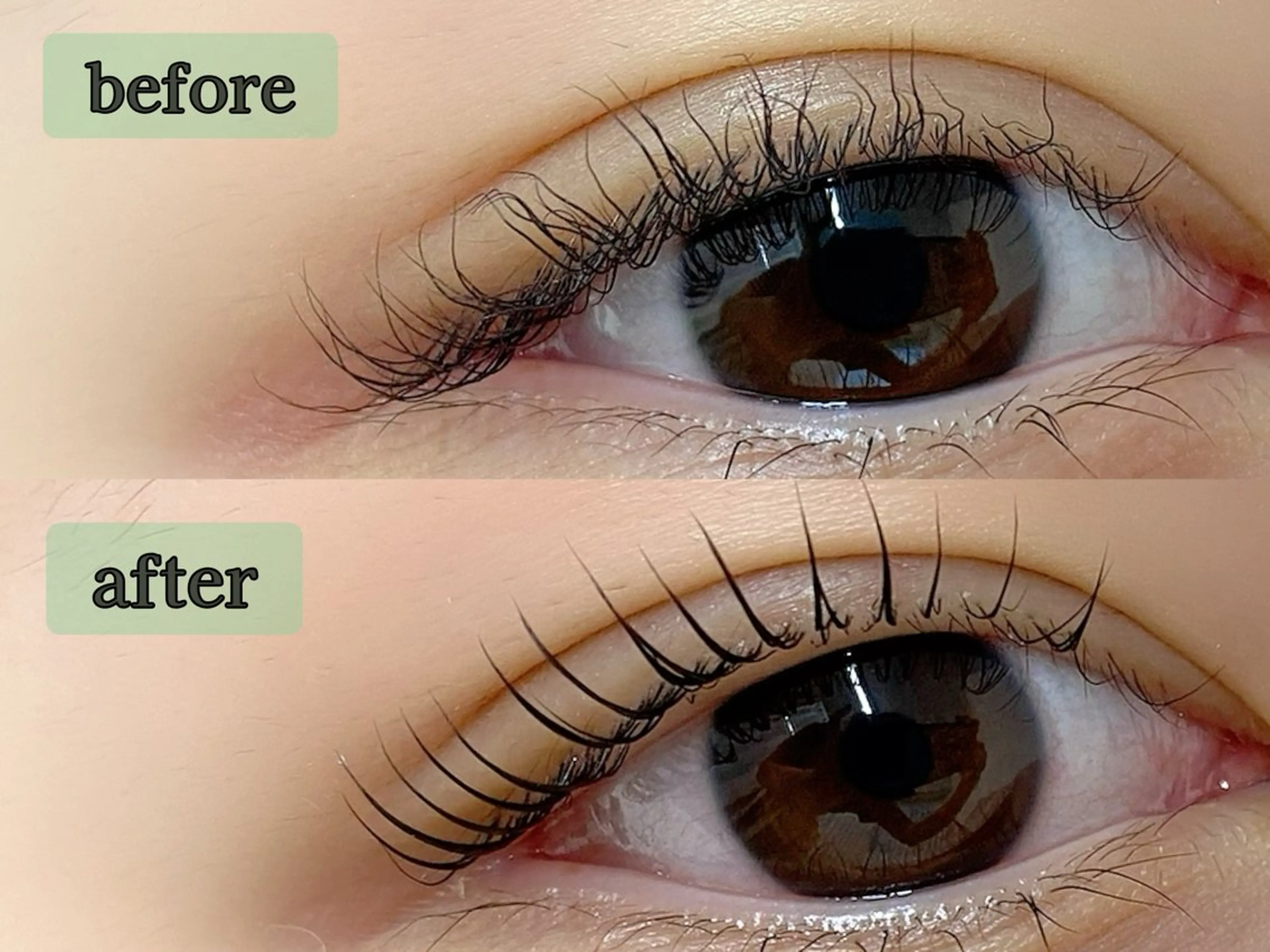 マツエク・マツパ マツパ tomte トムテのマツエク・マツパデザイン