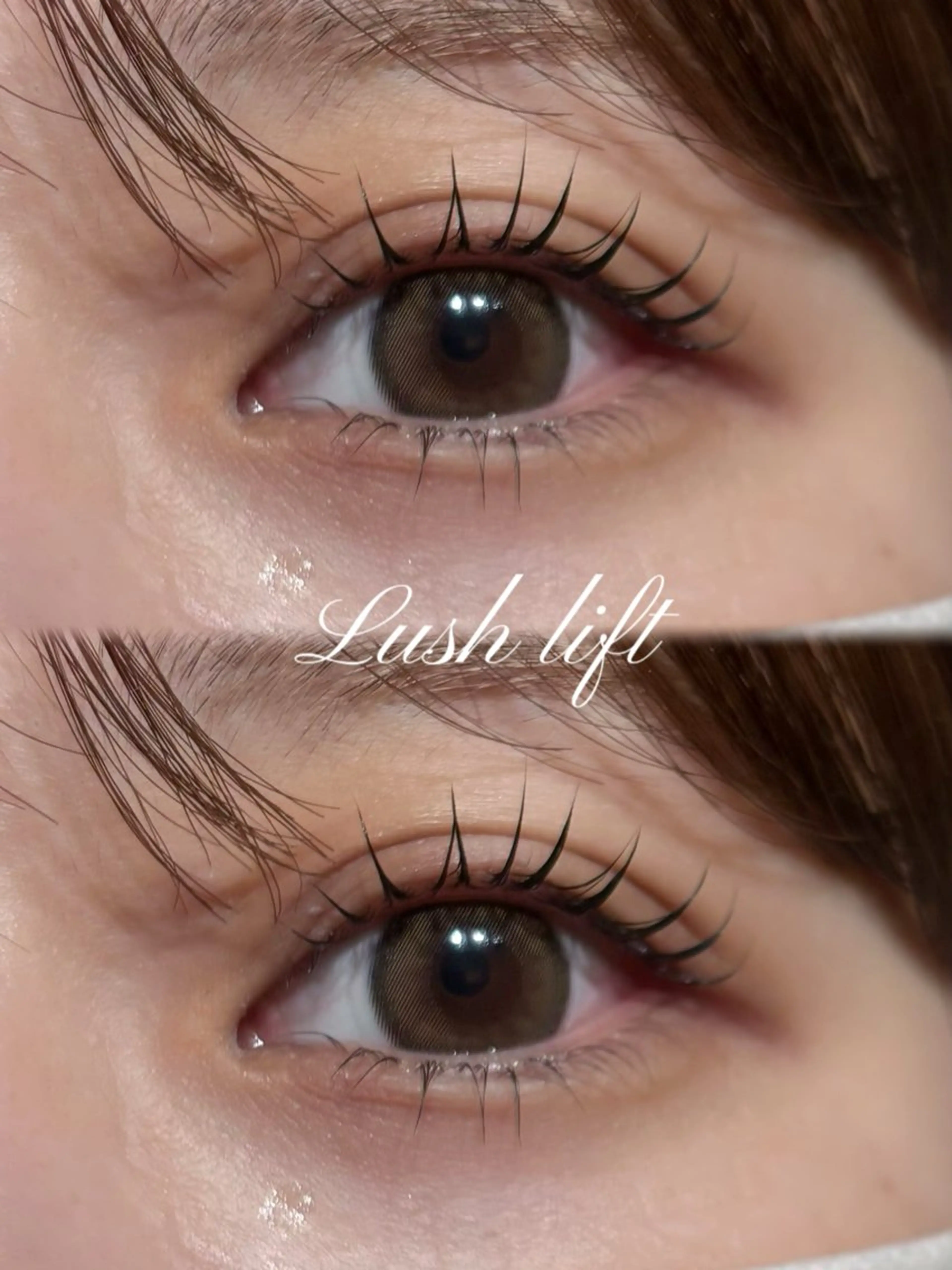 【🩶4月残り3枠🩶】まつげパーマ上🪭の写真