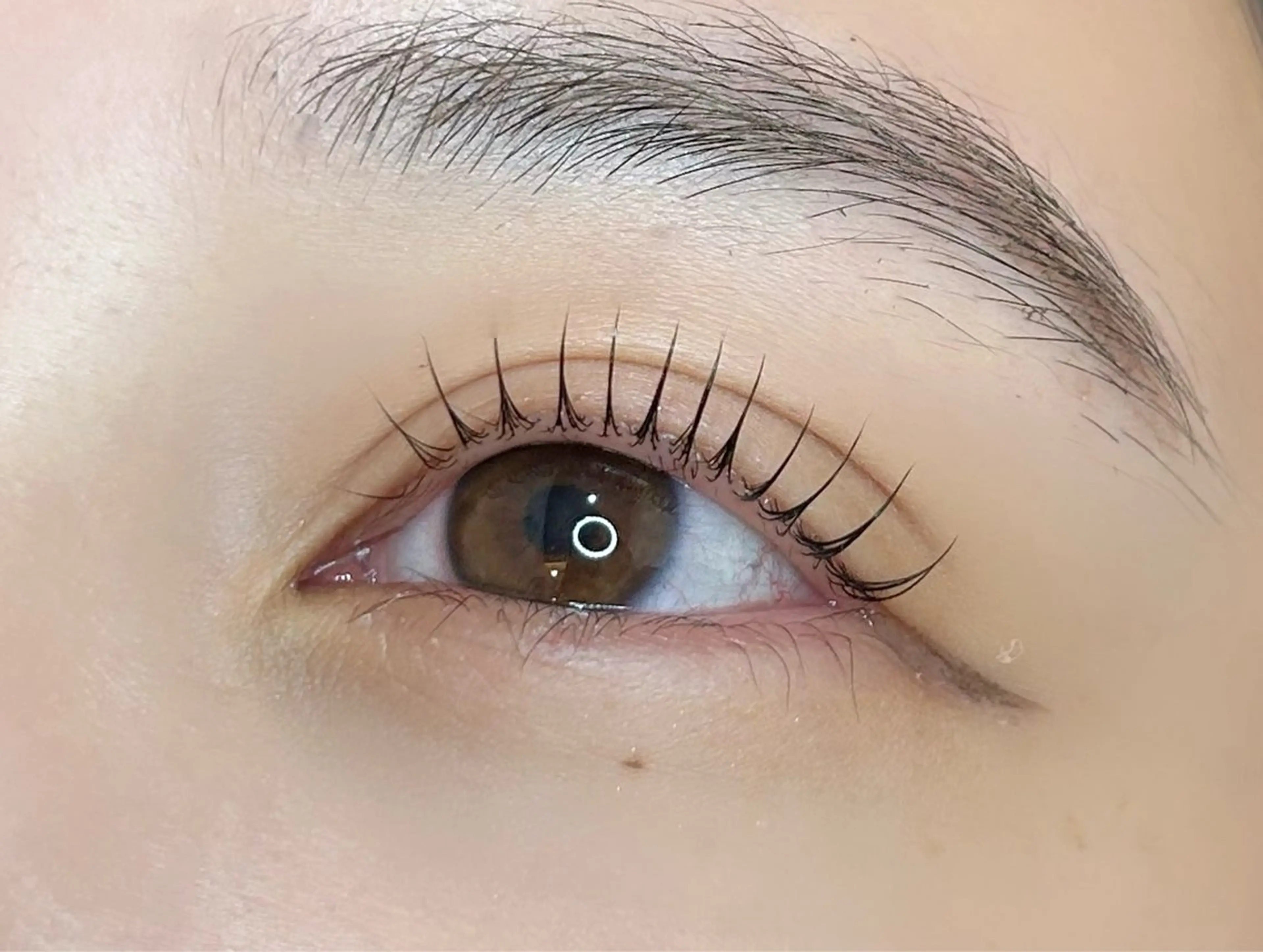 マツエク・マツパ LUVISM 長岡  小熊のマツエク・マツパデザイン