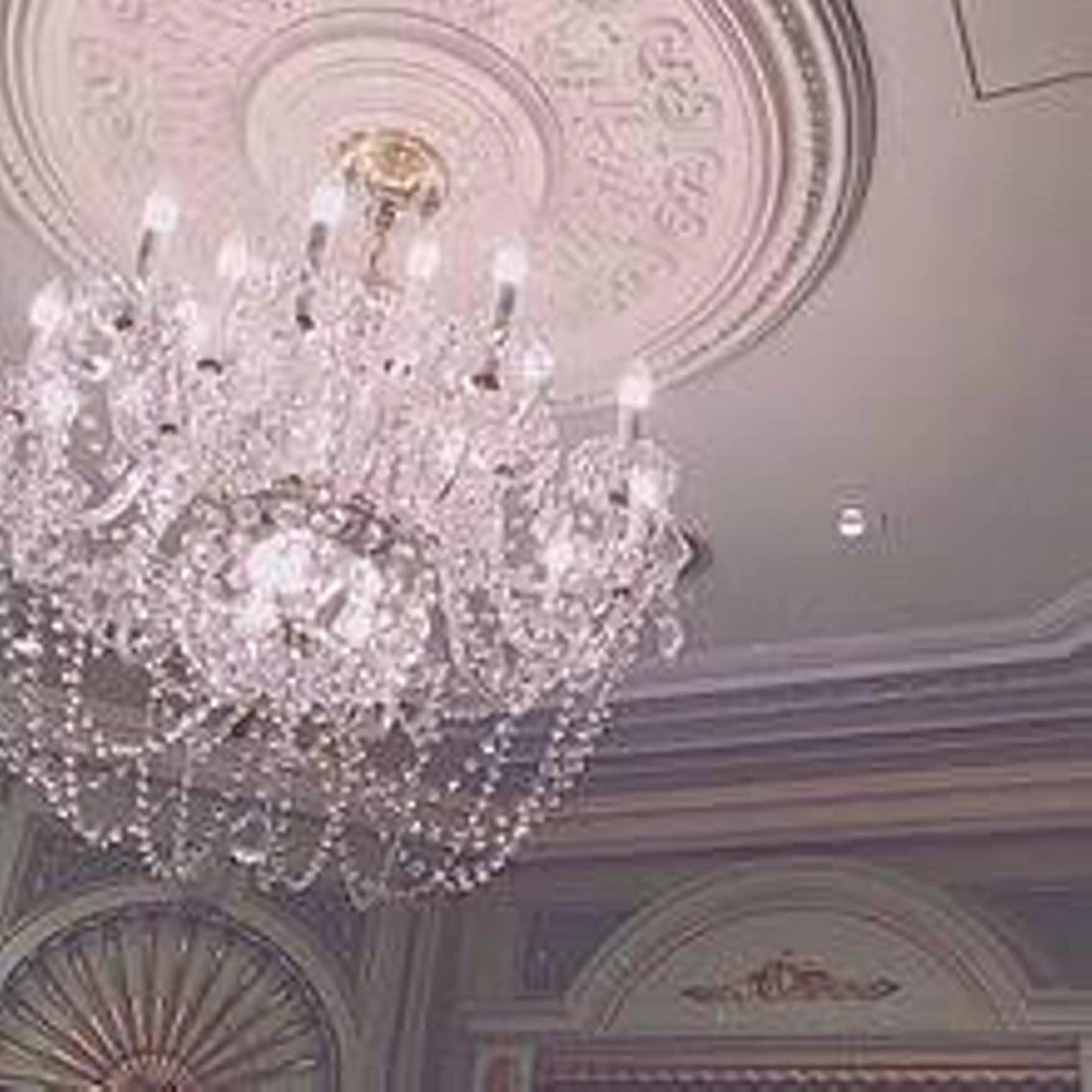 マツエク・マツパ eyelash salon   serina渋谷道玄坂店所属・セリナ 渋谷道玄坂店のマツエク・マツパデザイン