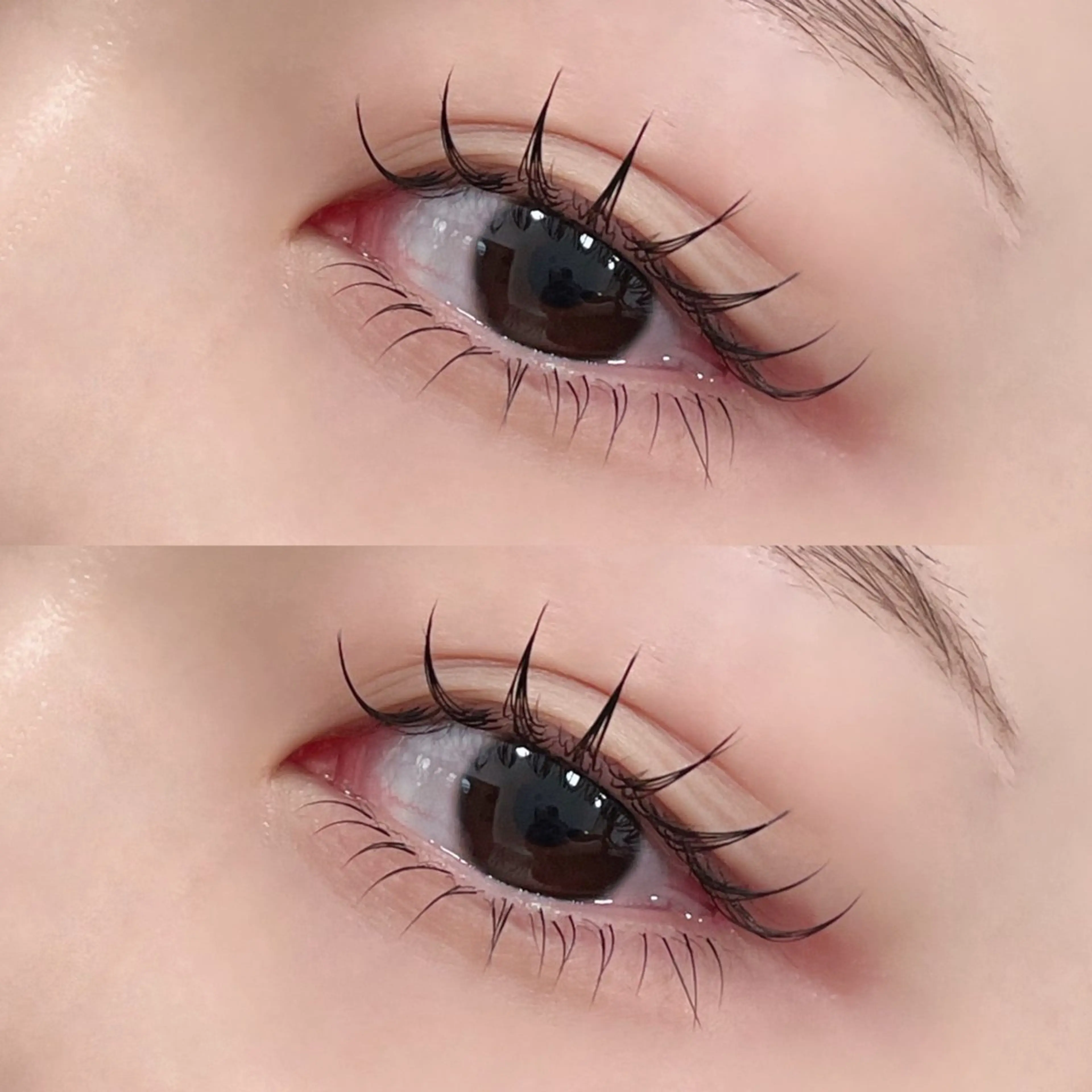 【上下エクステ】フラットラッシュ80、100、120本➕下まつげエクステ💜の写真