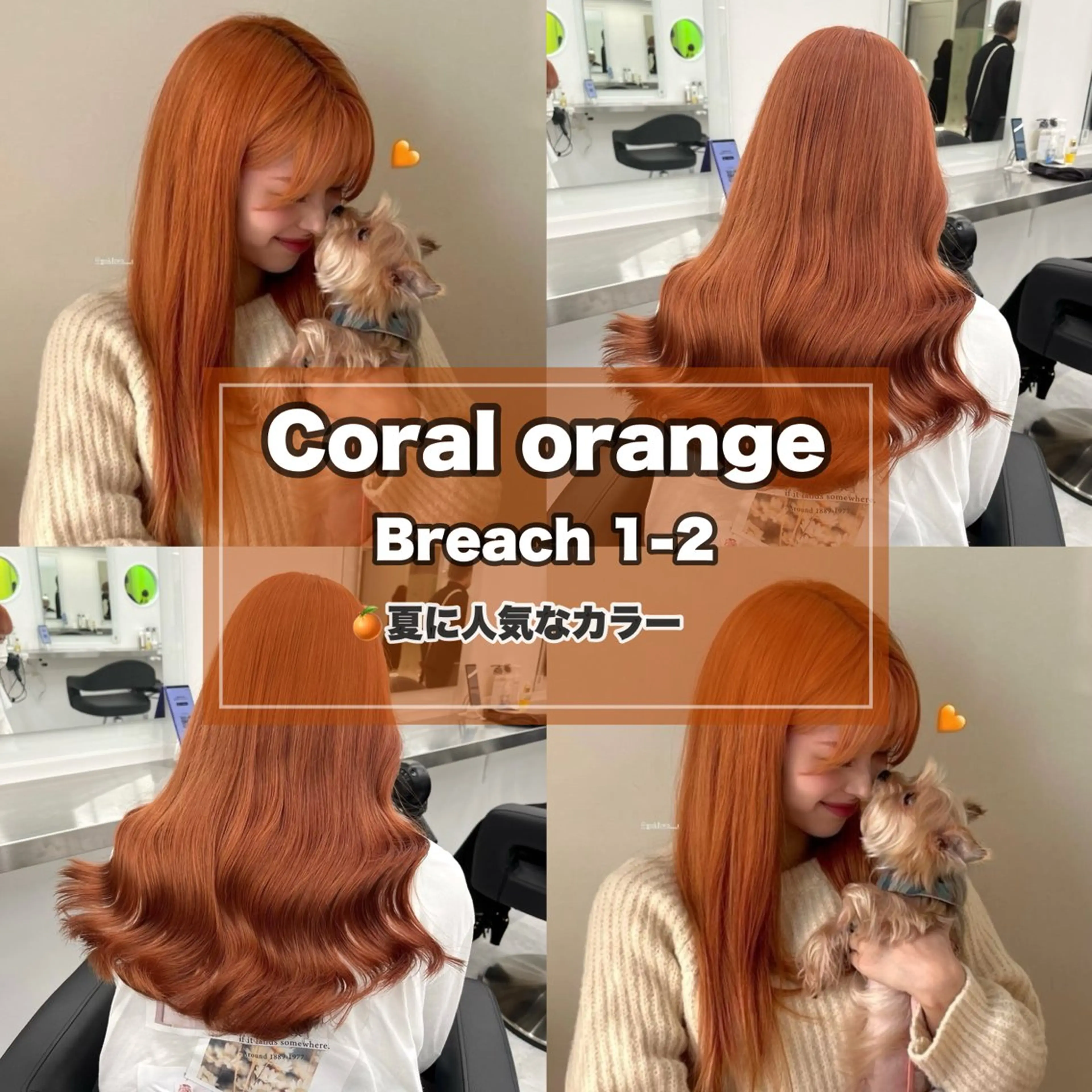 カラー ヘアカラー 🥀韓流暖色ヘア 🥀yuzukiのヘアスタイル