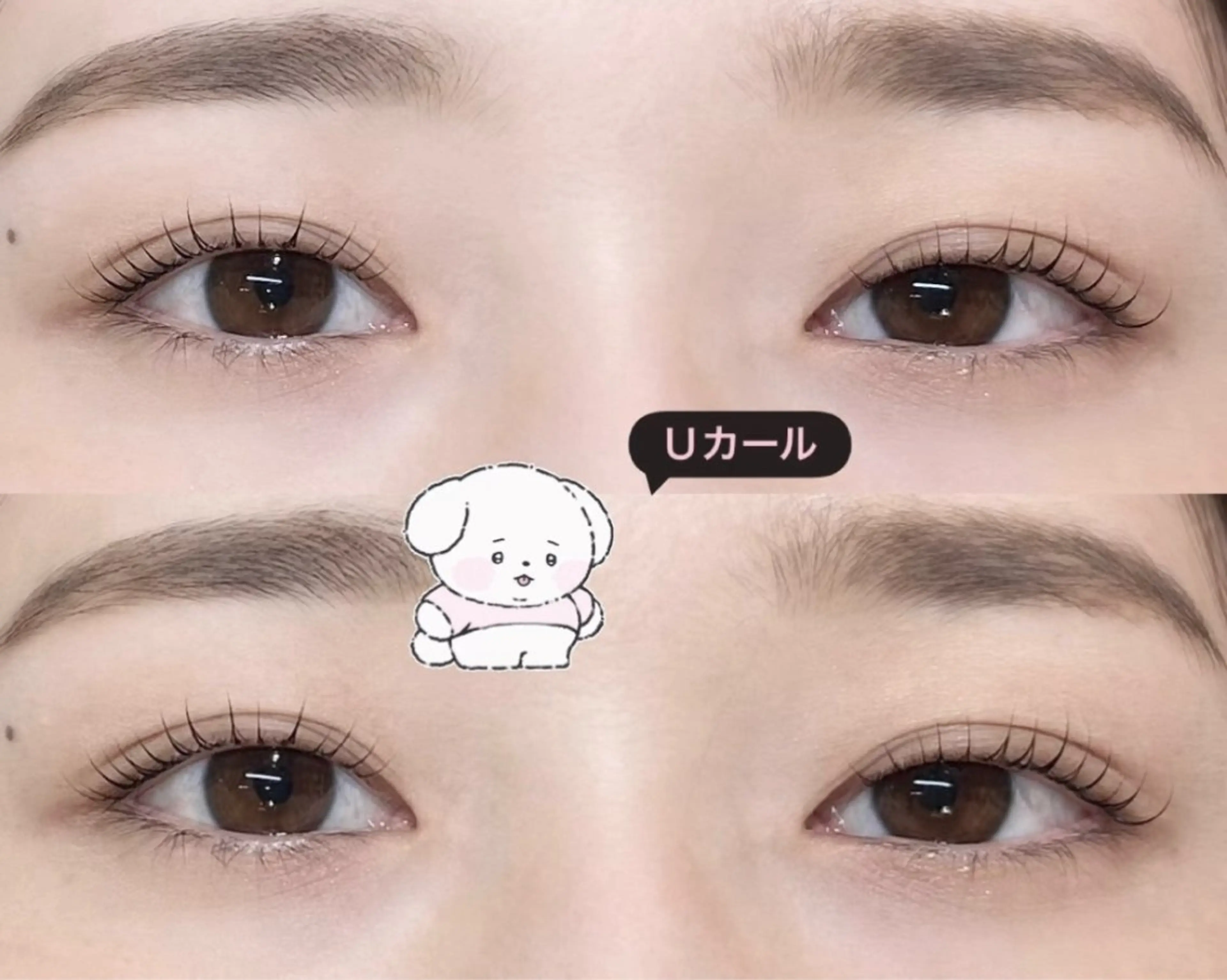 マツエク・マツパ ile 横浜所属・愛 🐩のマツエク・マツパデザイン