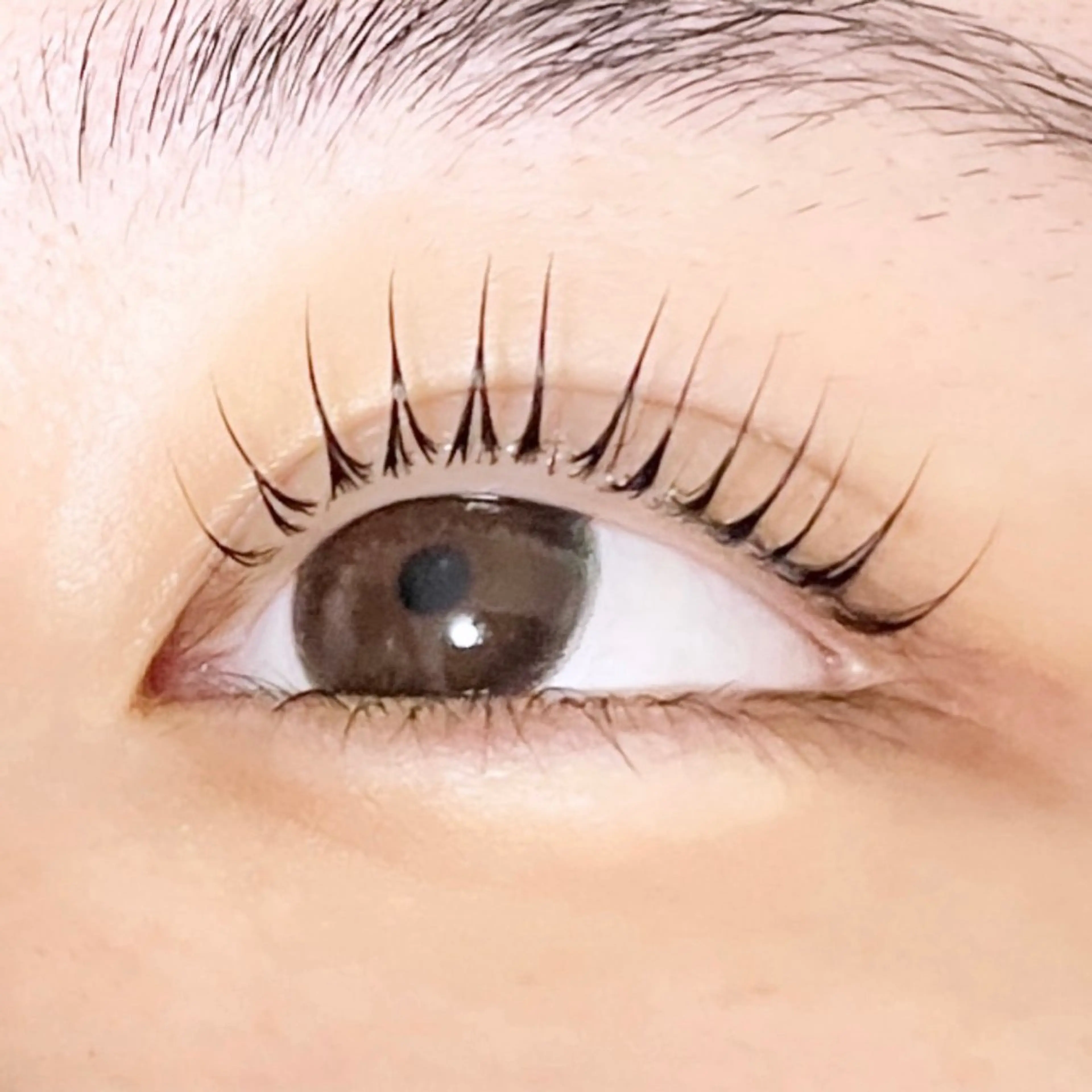 【ご新規様限定】パリジェンヌラッシュリフト🌟¥2,980🌟の写真