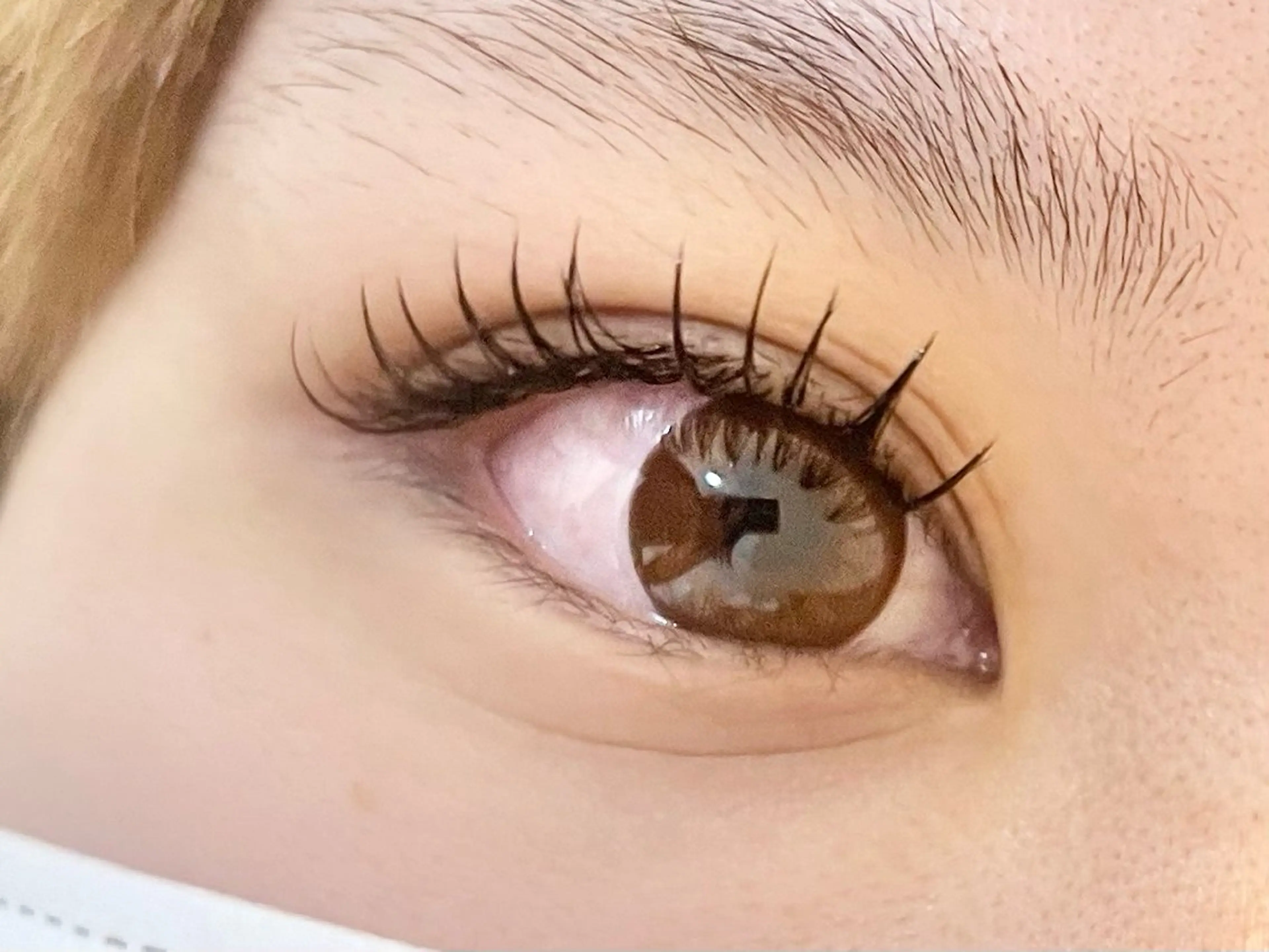 フラットラッシュ120本の写真